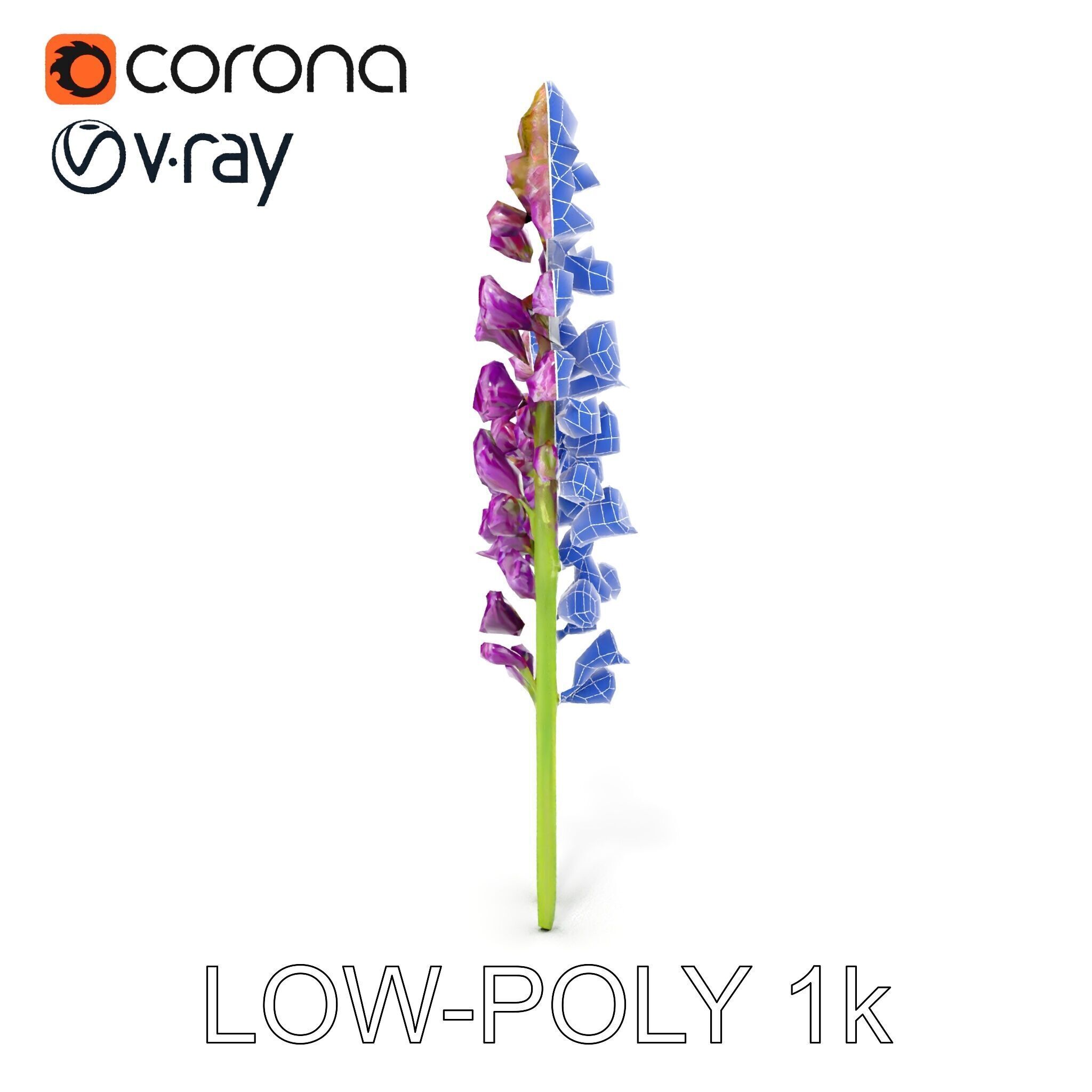 Lavender Flower Model Pack for D Environments Low-poly 3D model_31