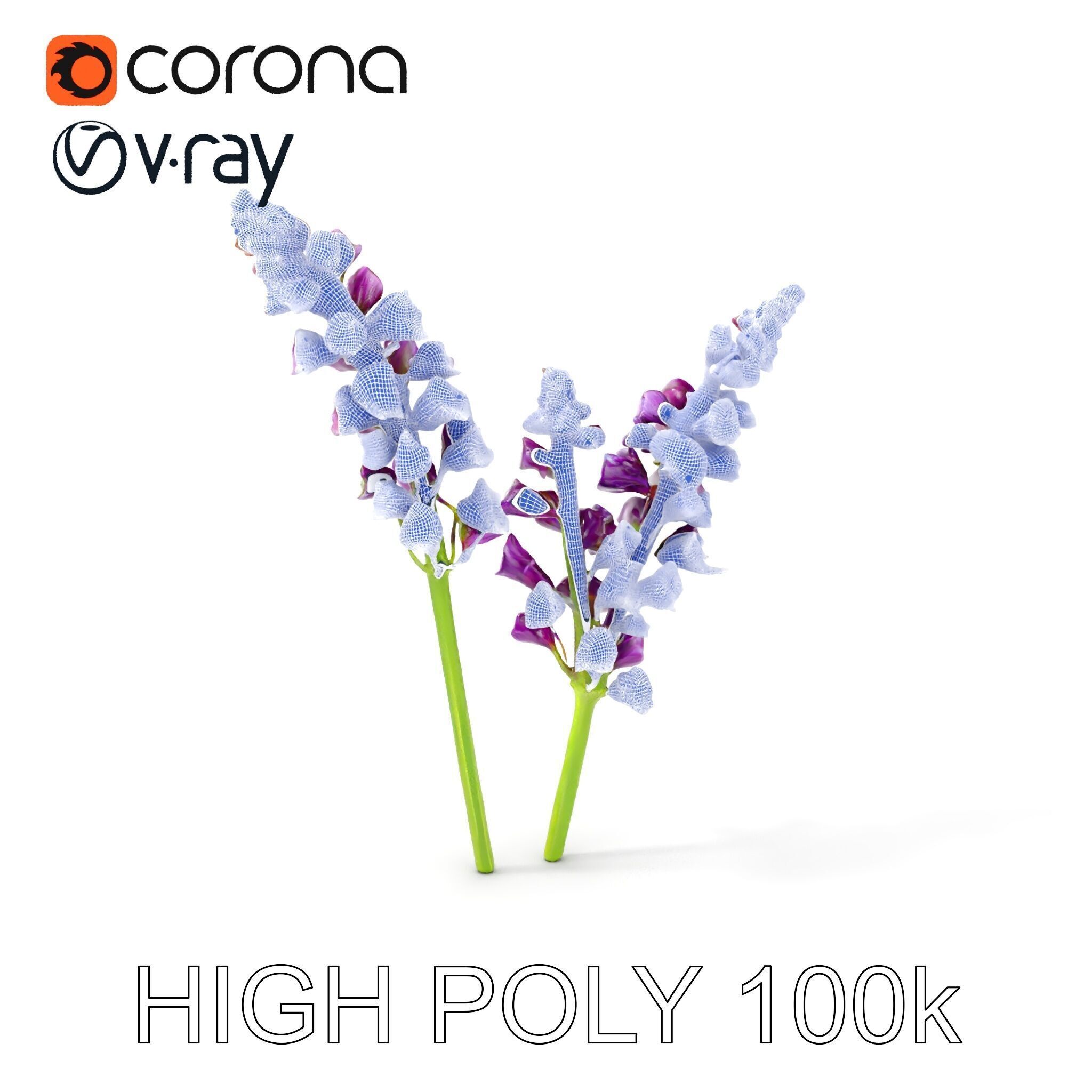 Lavender Flower Model Pack for D Environments Low-poly 3D model_4