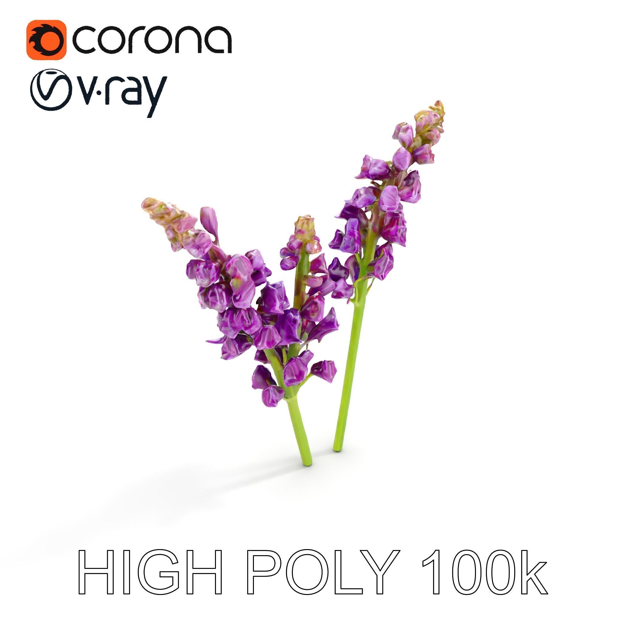 Lavender Flower Model Pack for D Environments Low-poly 3D model_13