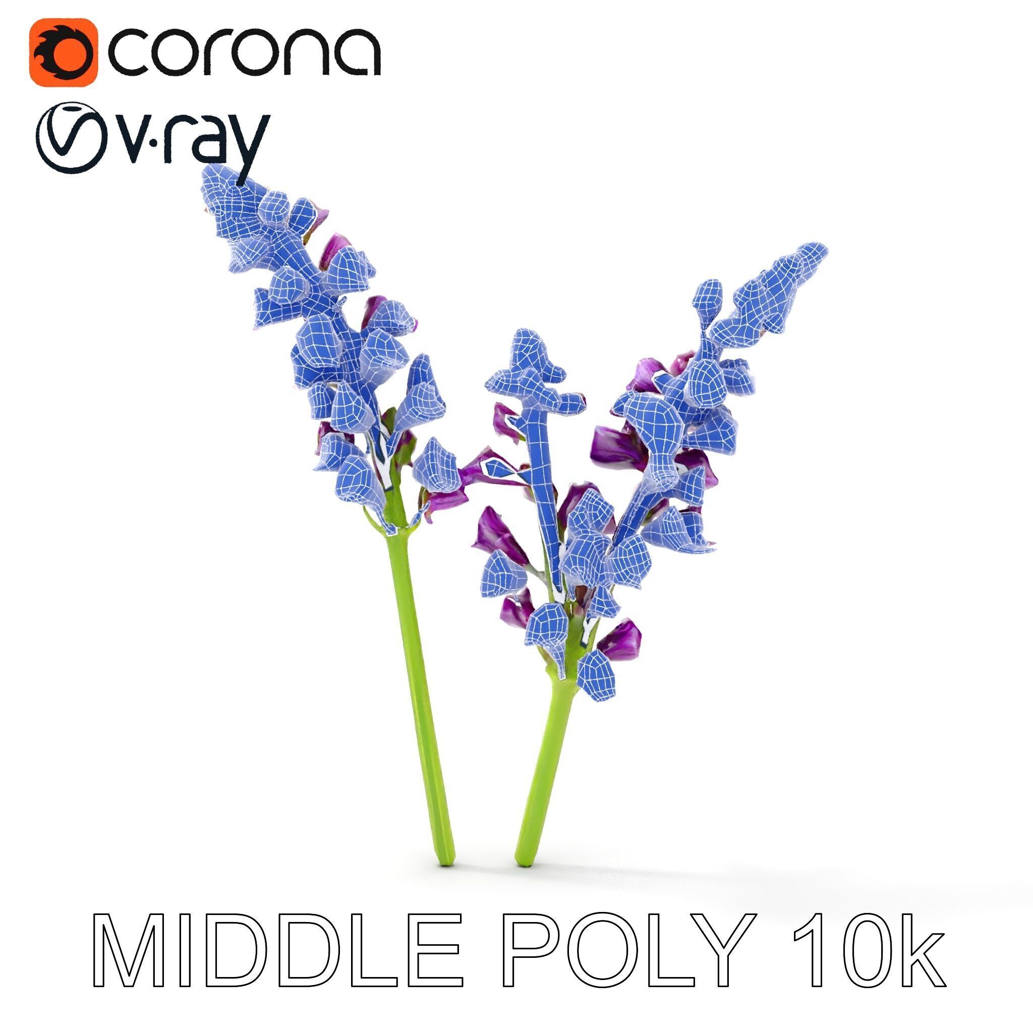 Lavender Flower Model Pack for D Environments Low-poly 3D model_27