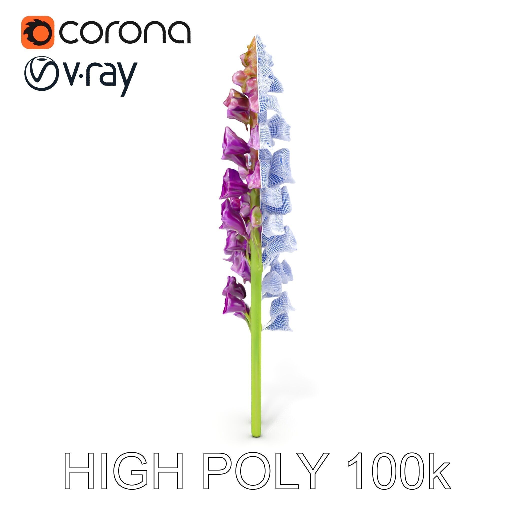 Lavender Flower Model Pack for D Environments Low-poly 3D model_35