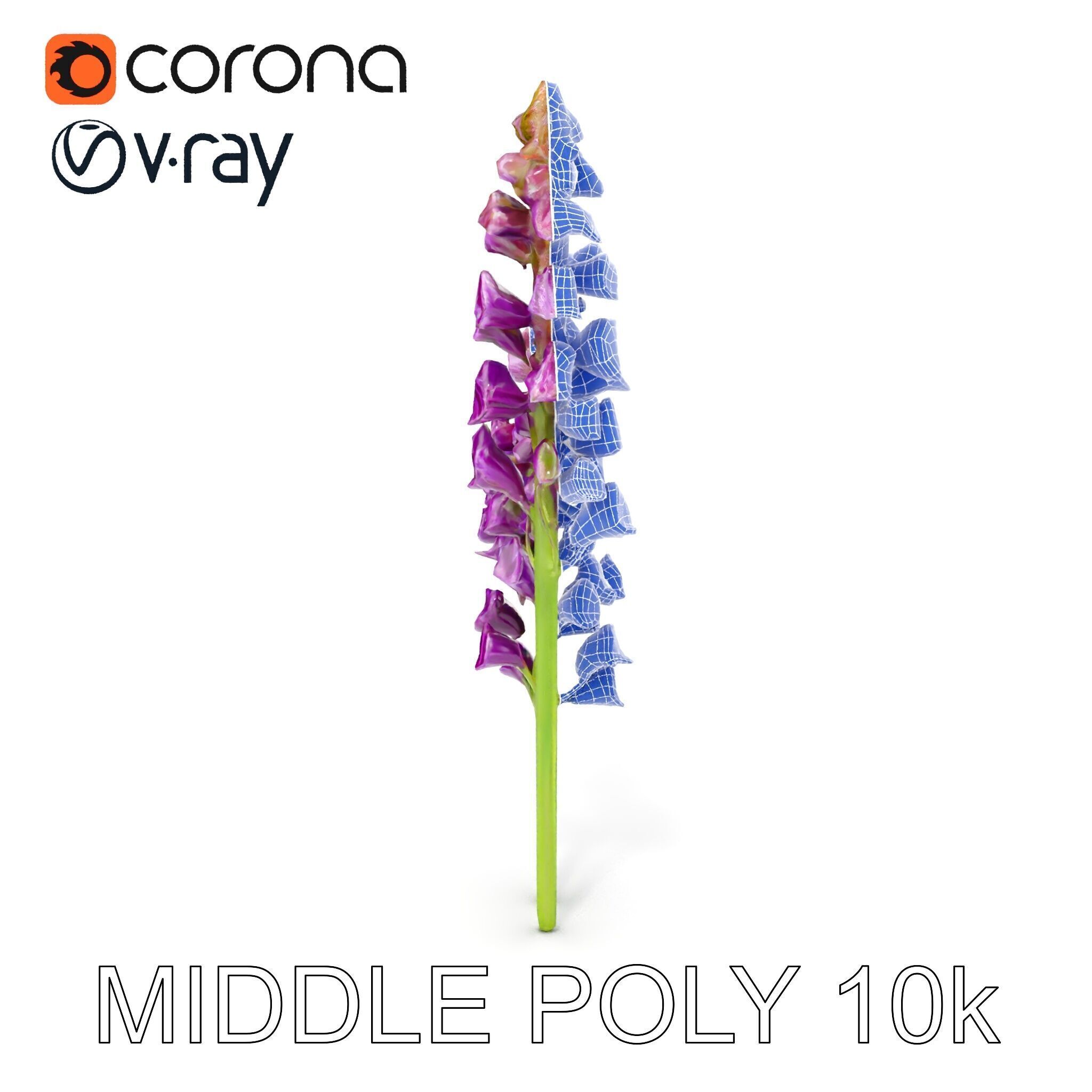 Lavender Flower Model Pack for D Environments Low-poly 3D model_20