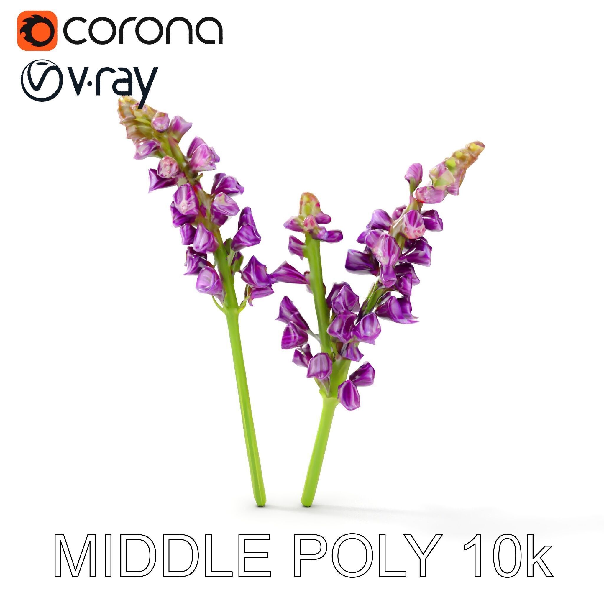 Lavender Flower Model Pack for D Environments Low-poly 3D model_14