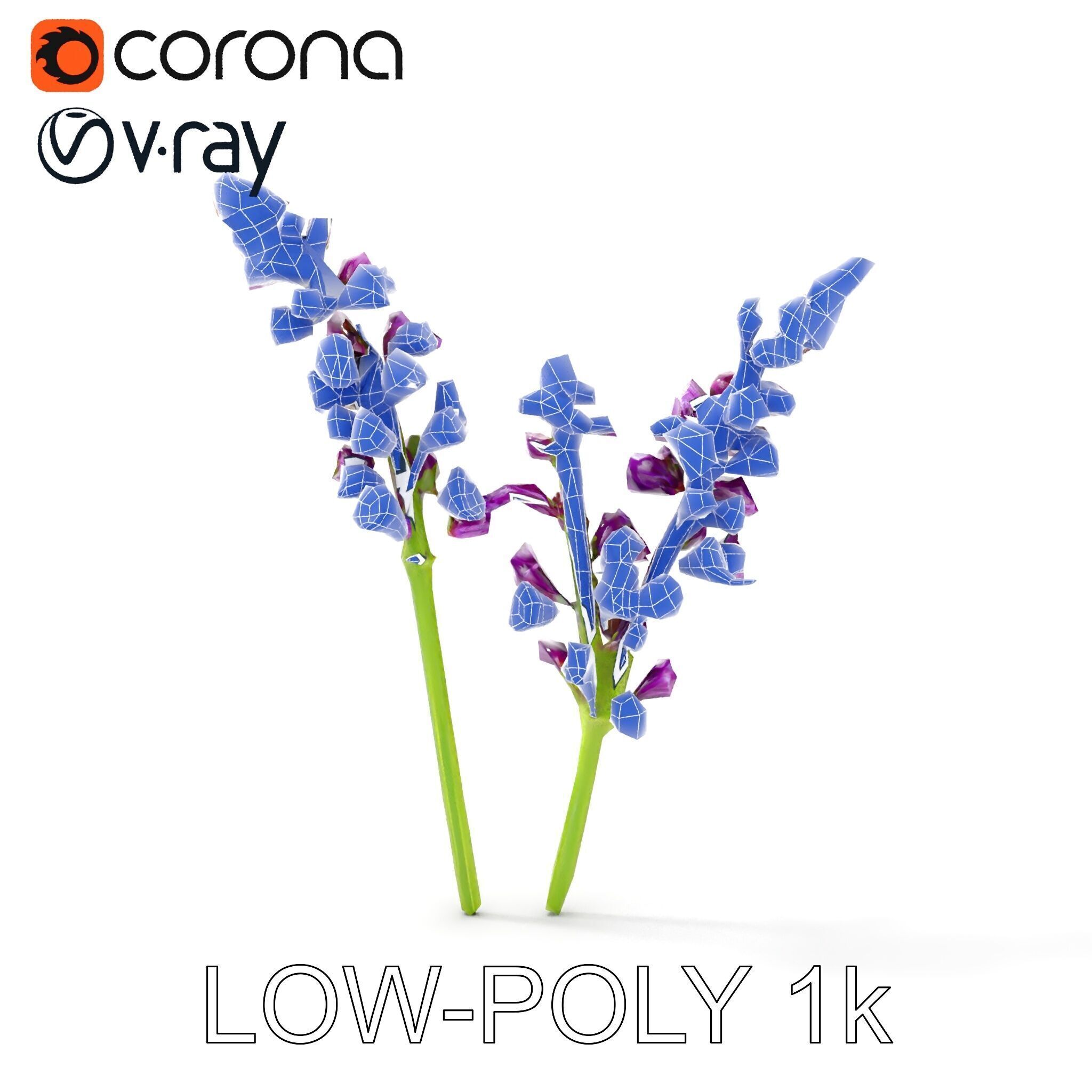Lavender Flower Model Pack for D Environments Low-poly 3D model_28