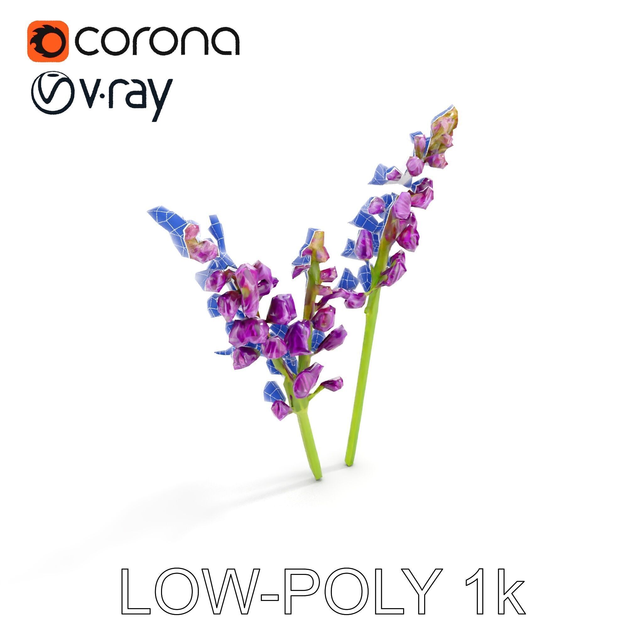 Lavender Flower Model Pack for D Environments Low-poly 3D model_12