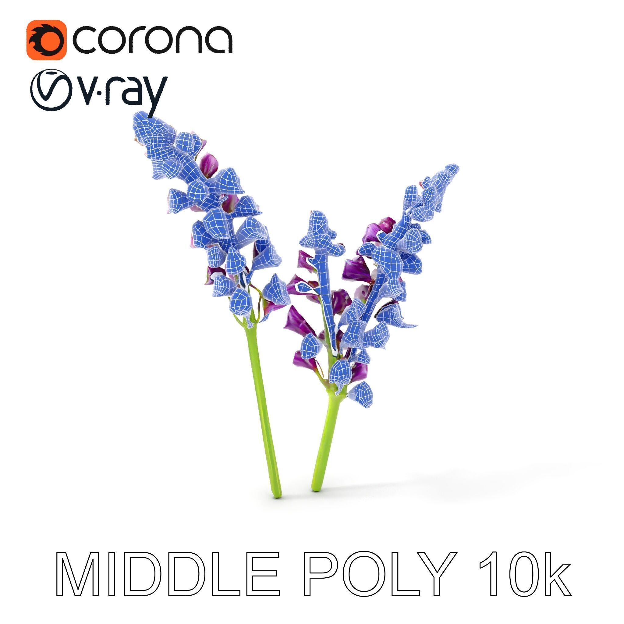 Lavender Flower Model Pack for D Environments Low-poly 3D model_30