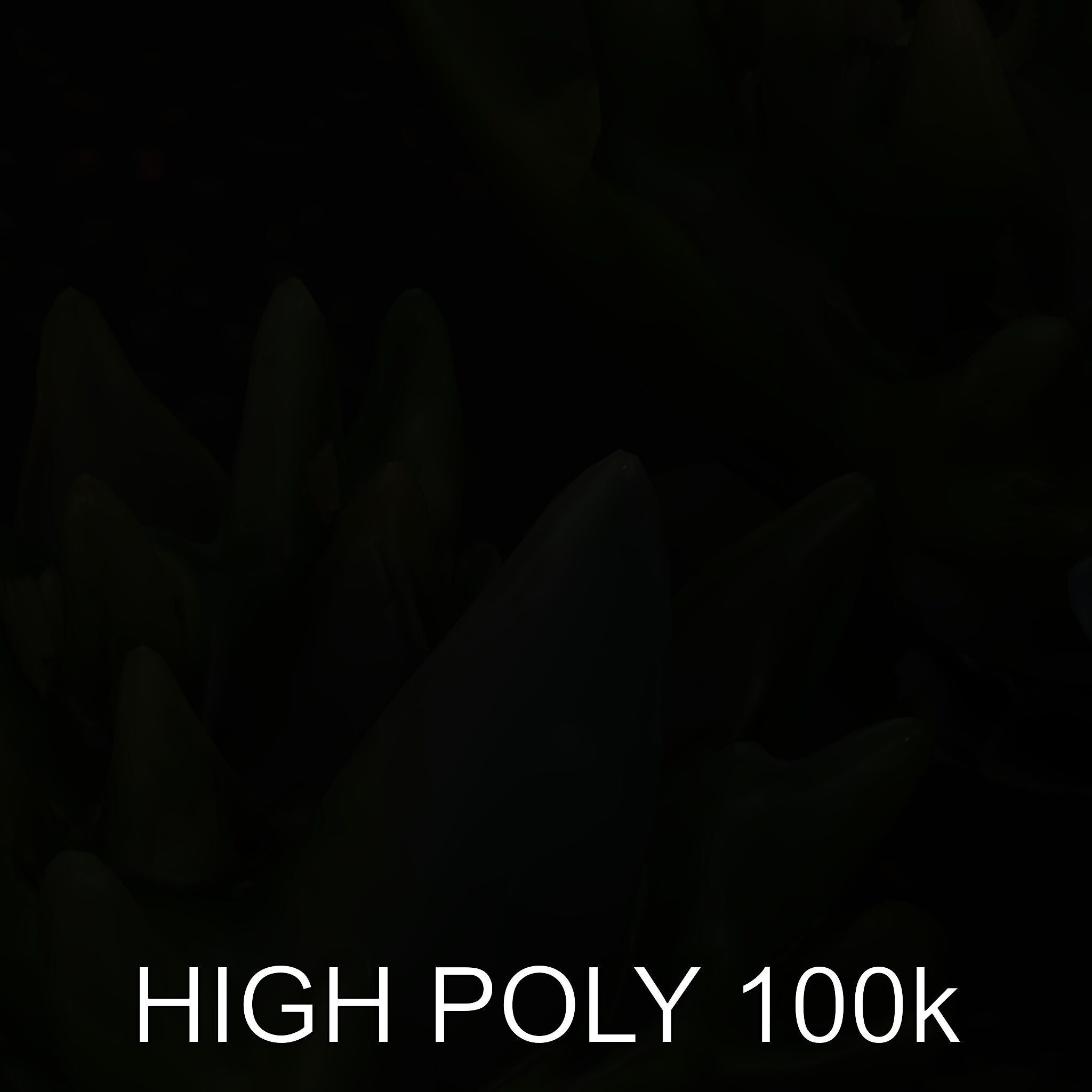 Modern Succulent Planter Box Model Pack Low-poly 3D model_9