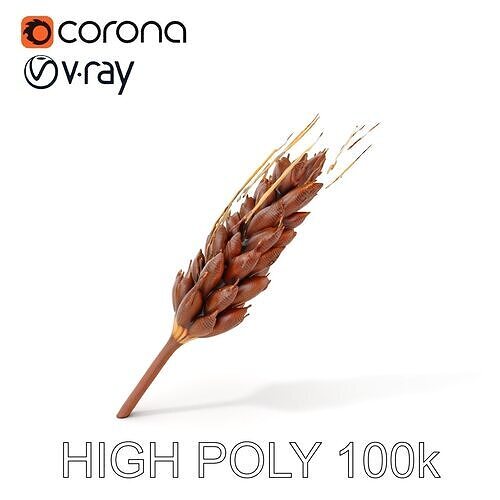 Realistic Wheat Ear D Model Pack Low-poly 3D model