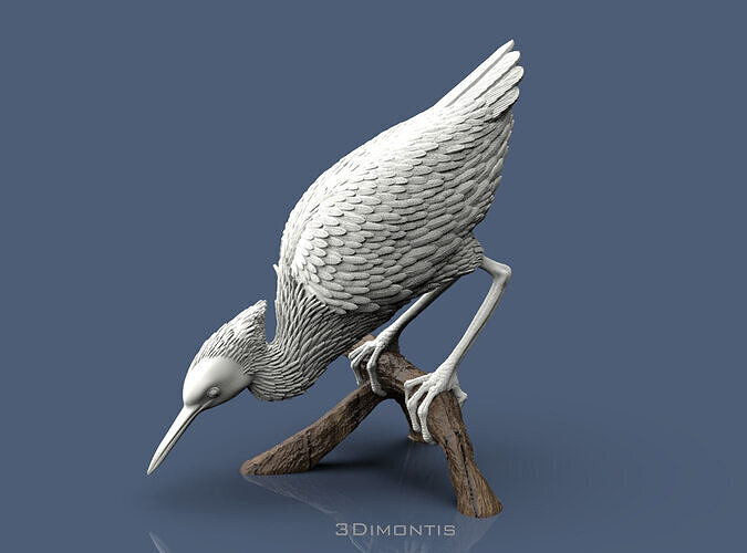 Bittern 3D print model
