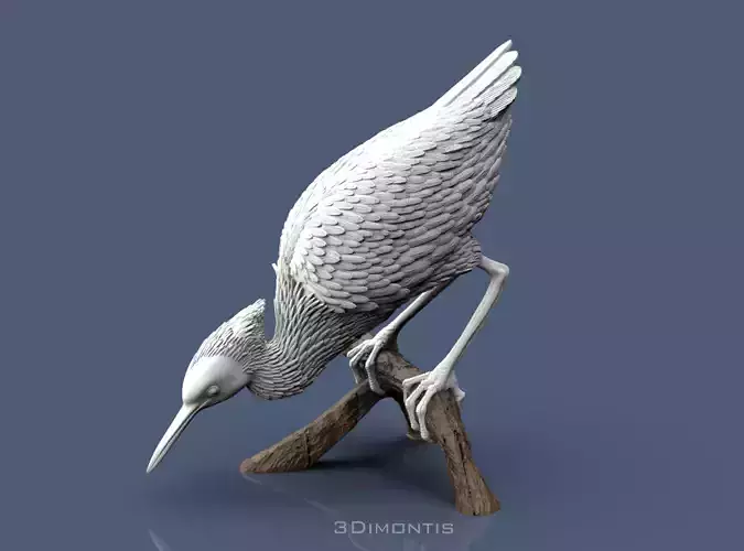 Bittern 3D print model