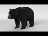 Black Bear 3D model_1