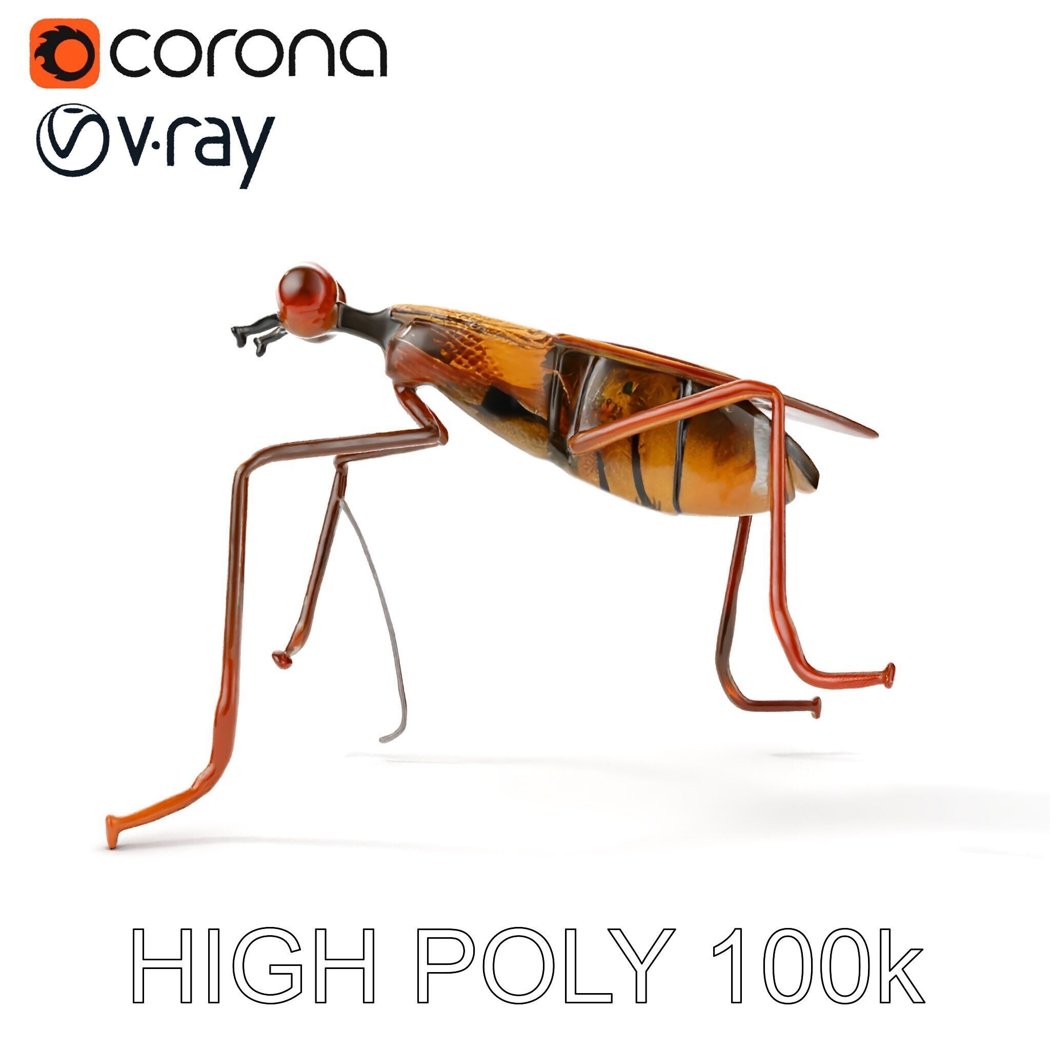 Realistic Insect Model Pack Detailed and Versatile Low-poly 3D model_13