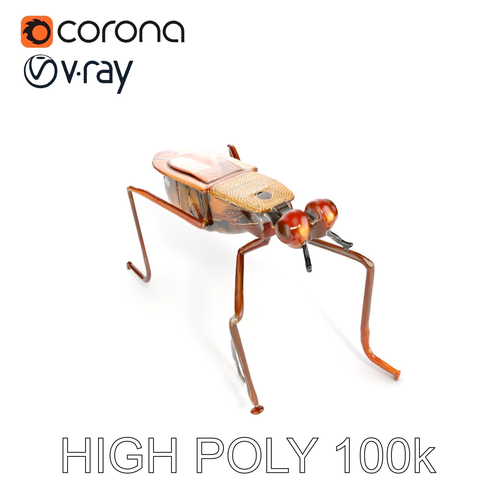Realistic Insect Model Pack Detailed and Versatile Low-poly 3D model_20