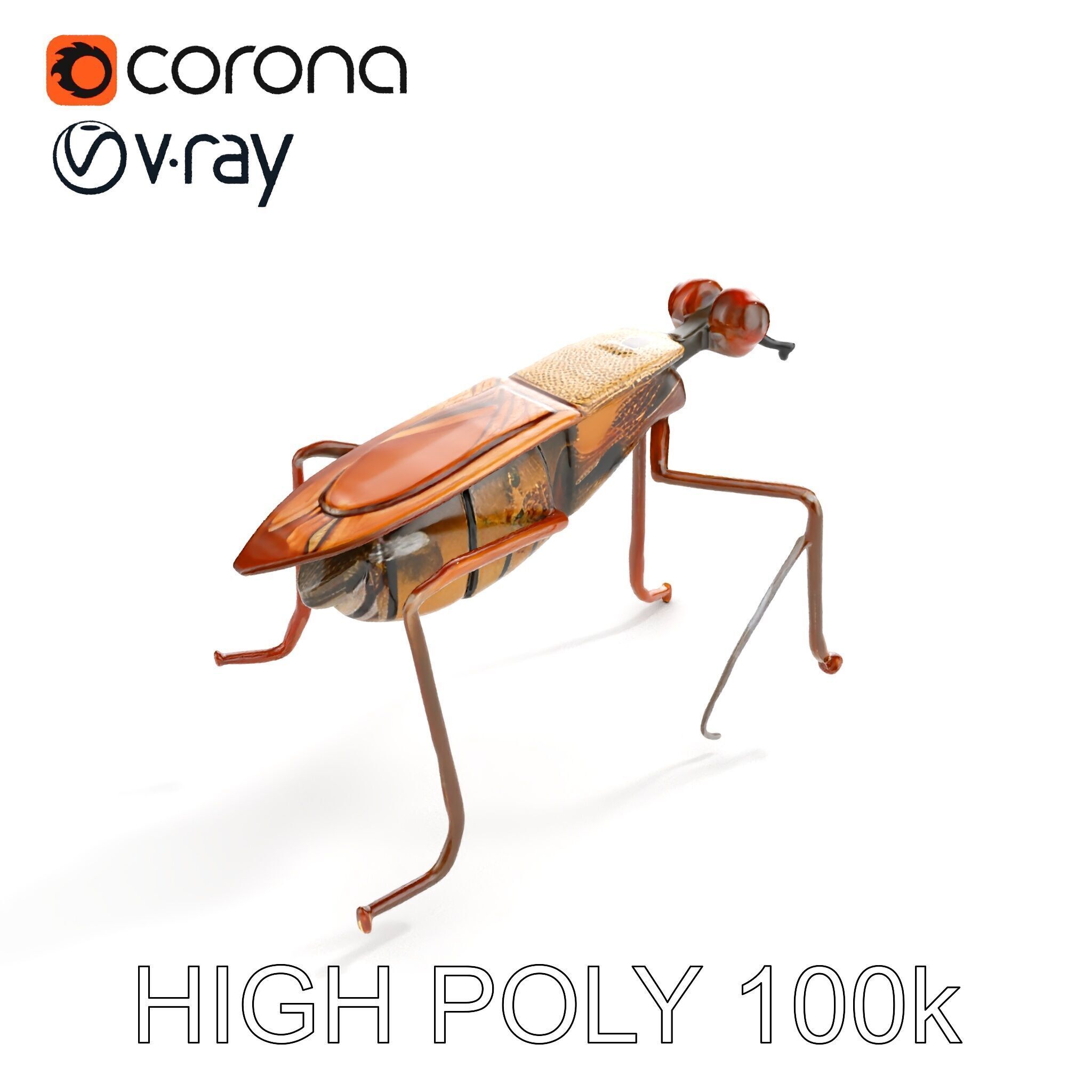 Realistic Insect Model Pack Detailed and Versatile Low-poly 3D model_9