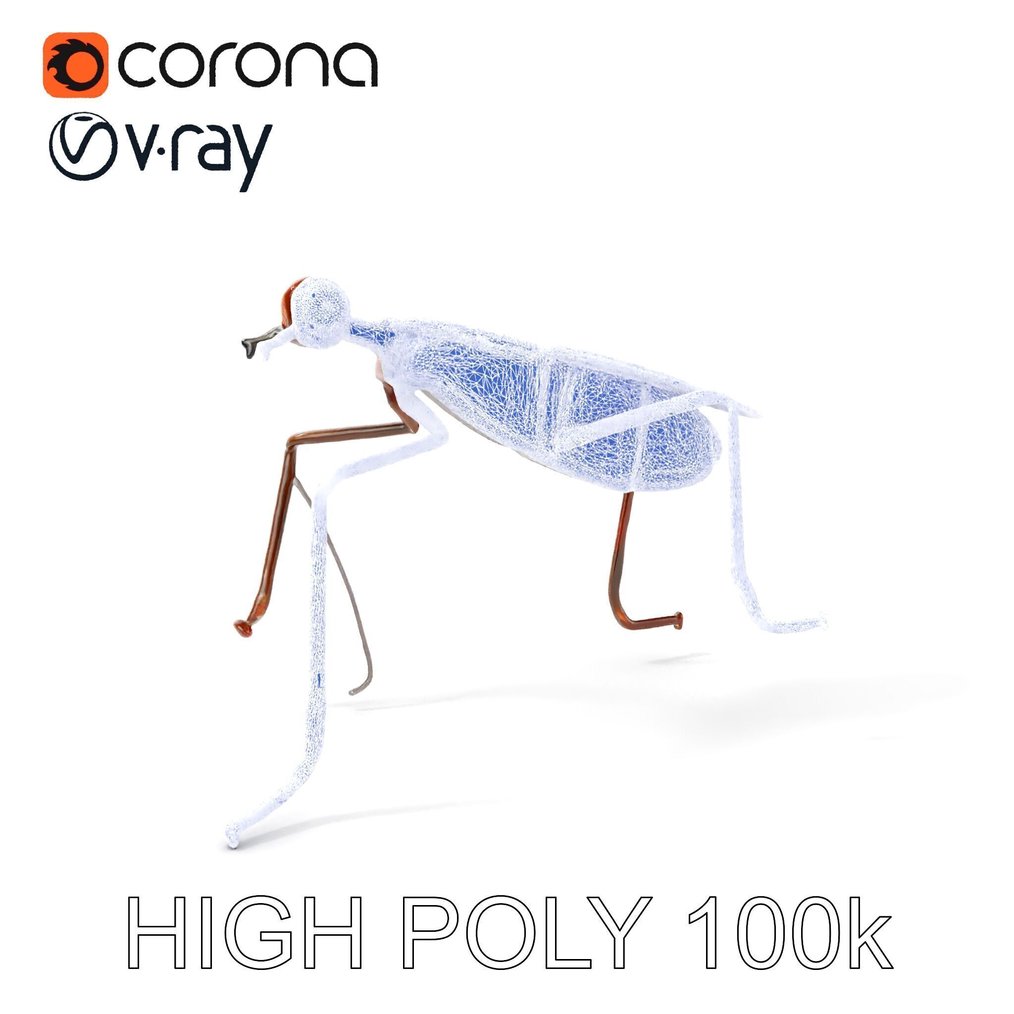 Realistic Insect Model Pack Detailed and Versatile Low-poly 3D model_12