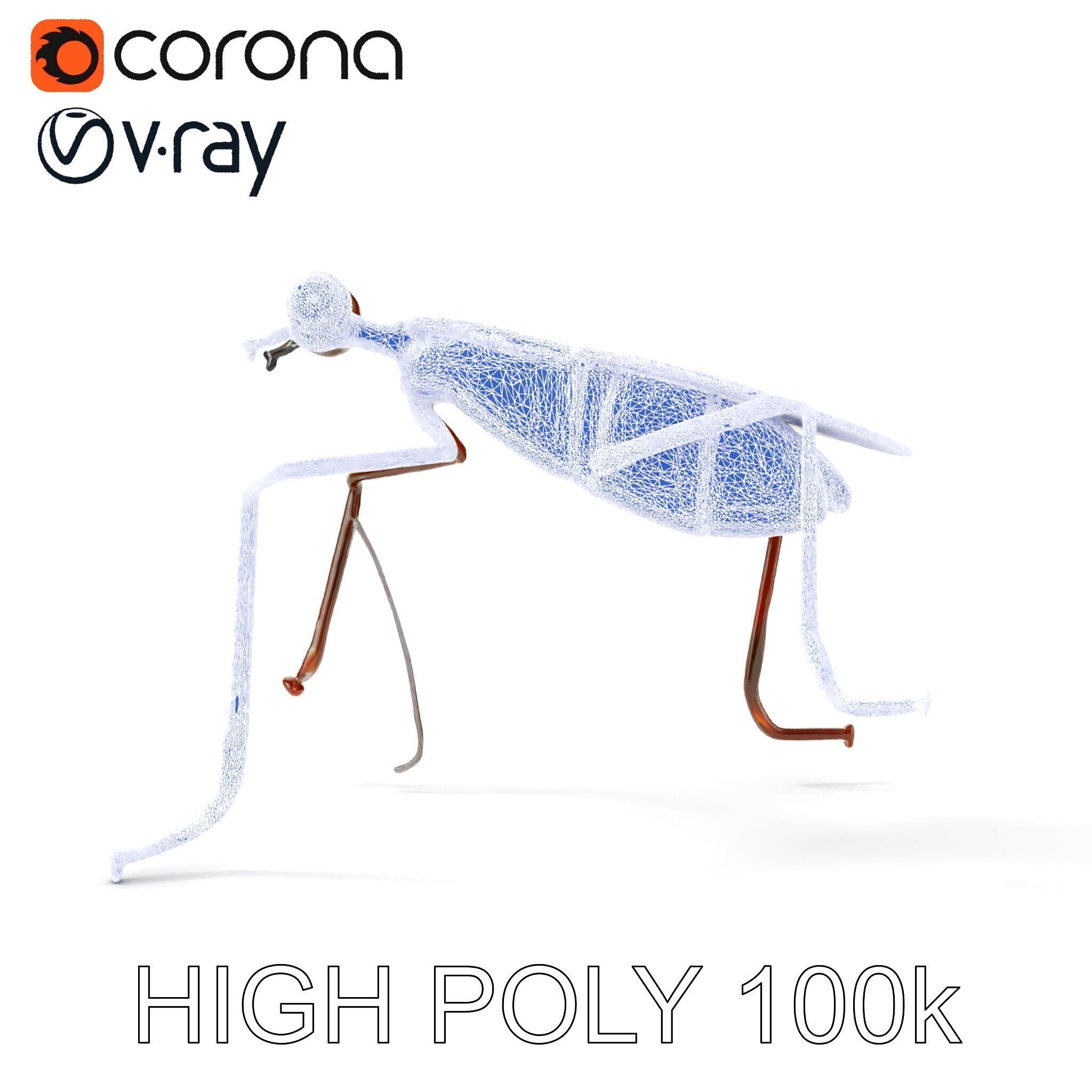 Realistic Insect Model Pack Detailed and Versatile Low-poly 3D model_35