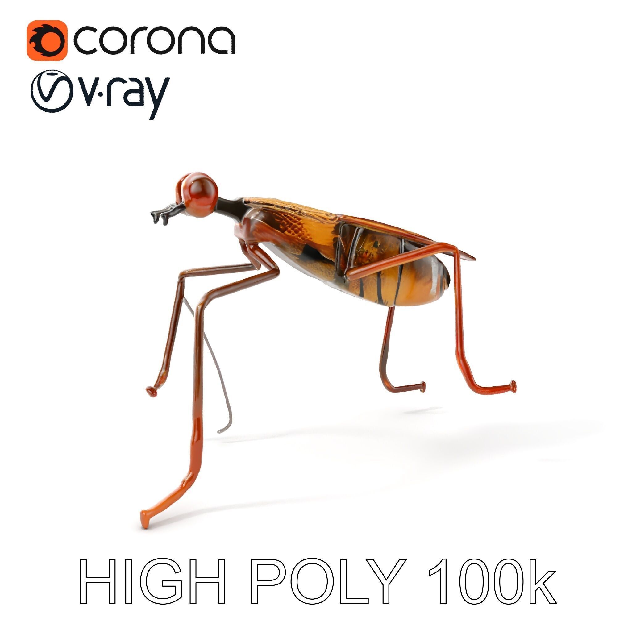 Realistic Insect Model Pack Detailed and Versatile Low-poly 3D model_11