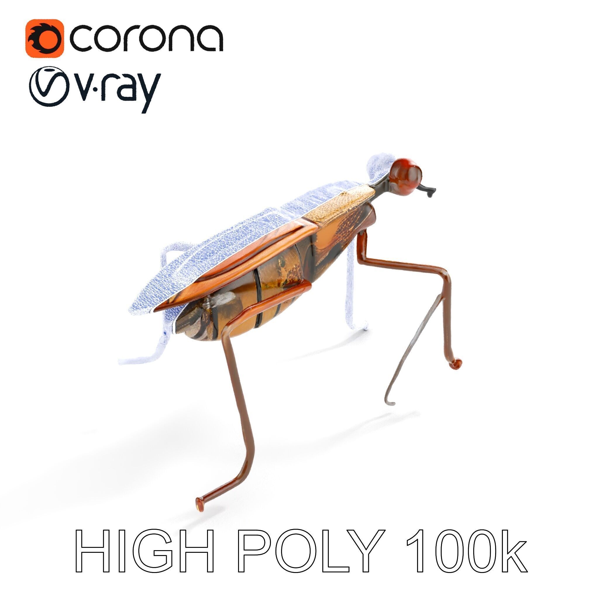 Realistic Insect Model Pack Detailed and Versatile Low-poly 3D model_23