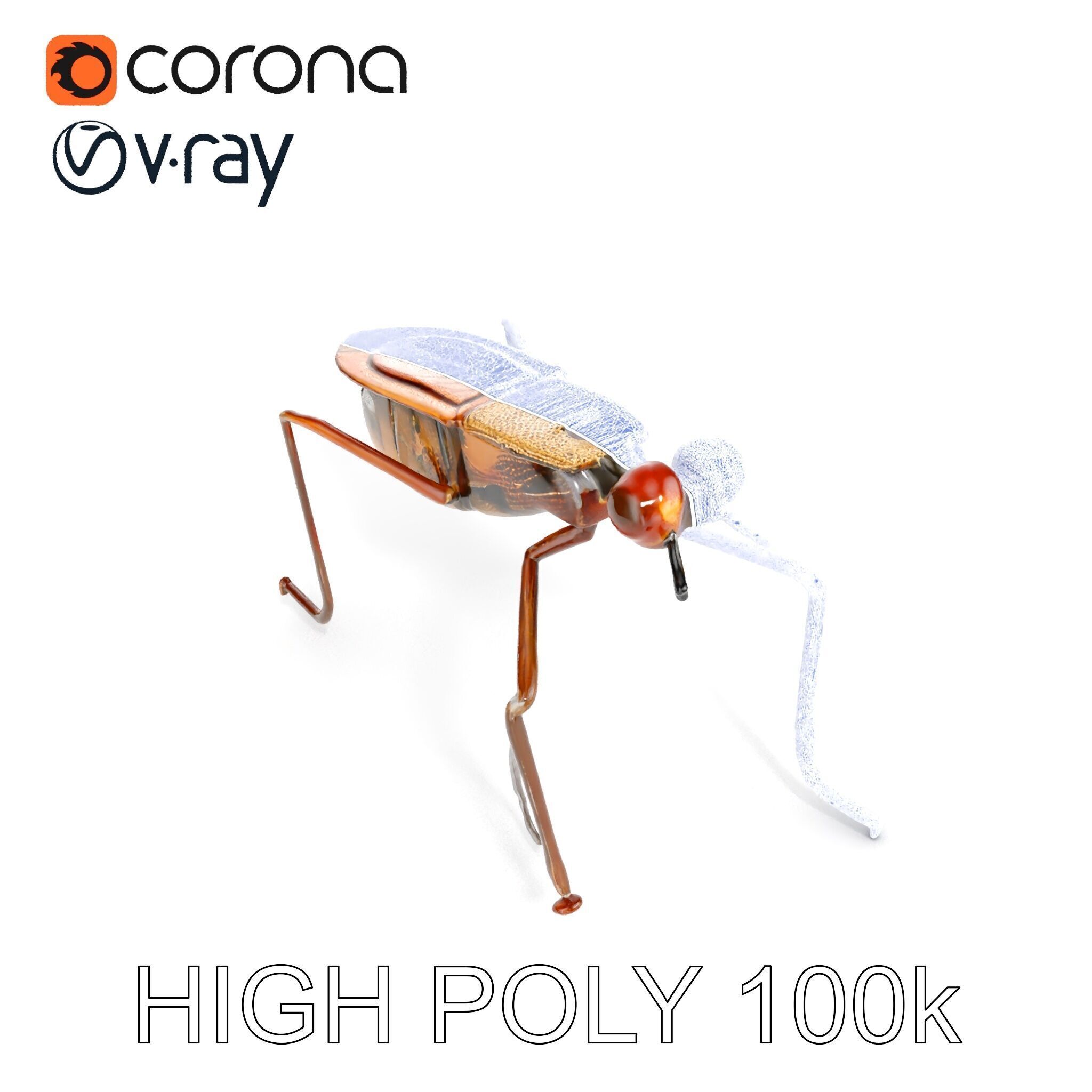 Realistic Insect Model Pack Detailed and Versatile Low-poly 3D model_24