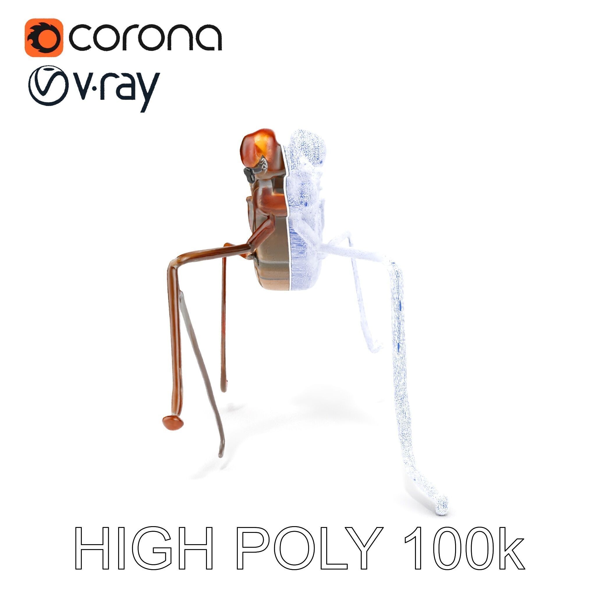 Realistic Insect Model Pack Detailed and Versatile Low-poly 3D model_31