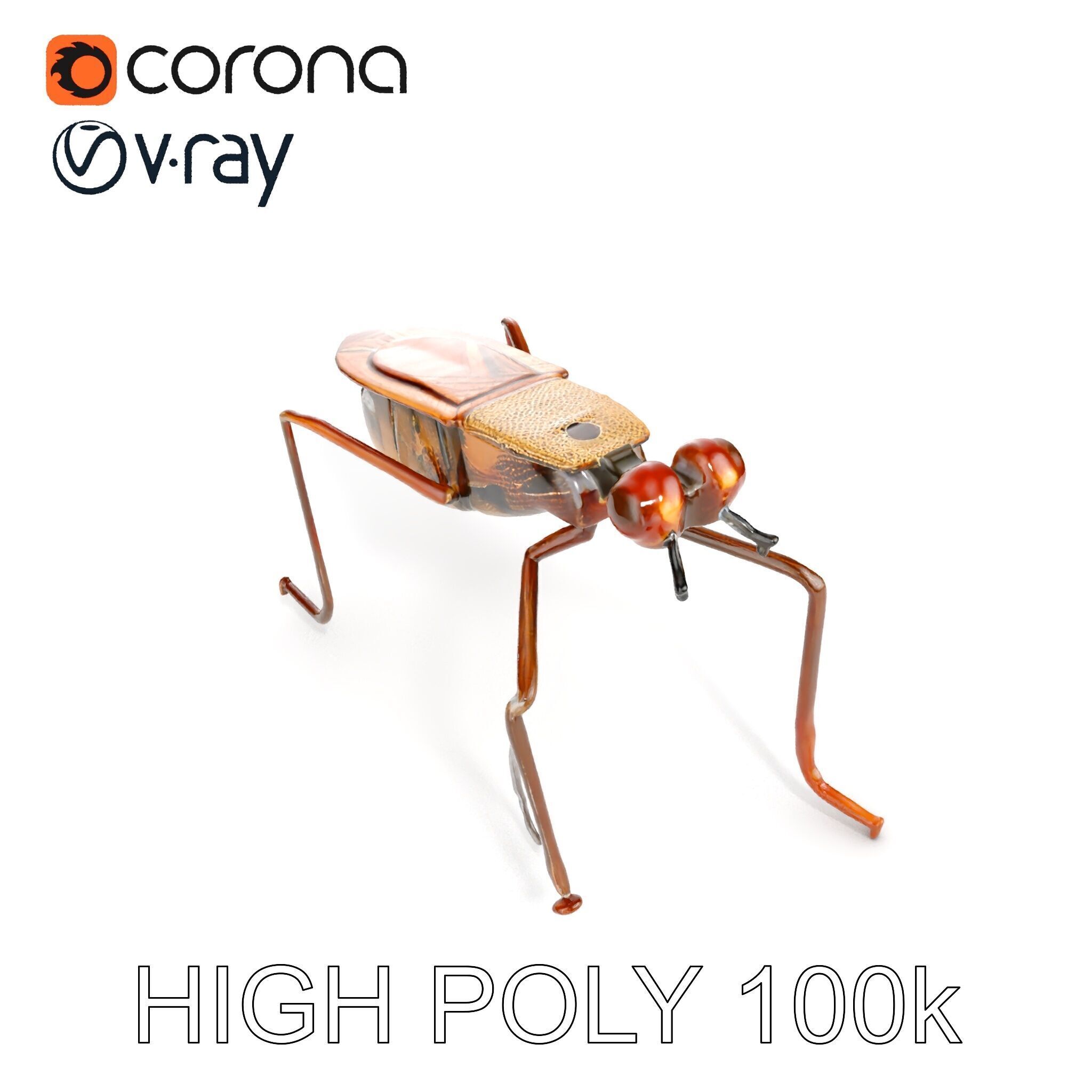 Realistic Insect Model Pack Detailed and Versatile Low-poly 3D model_19