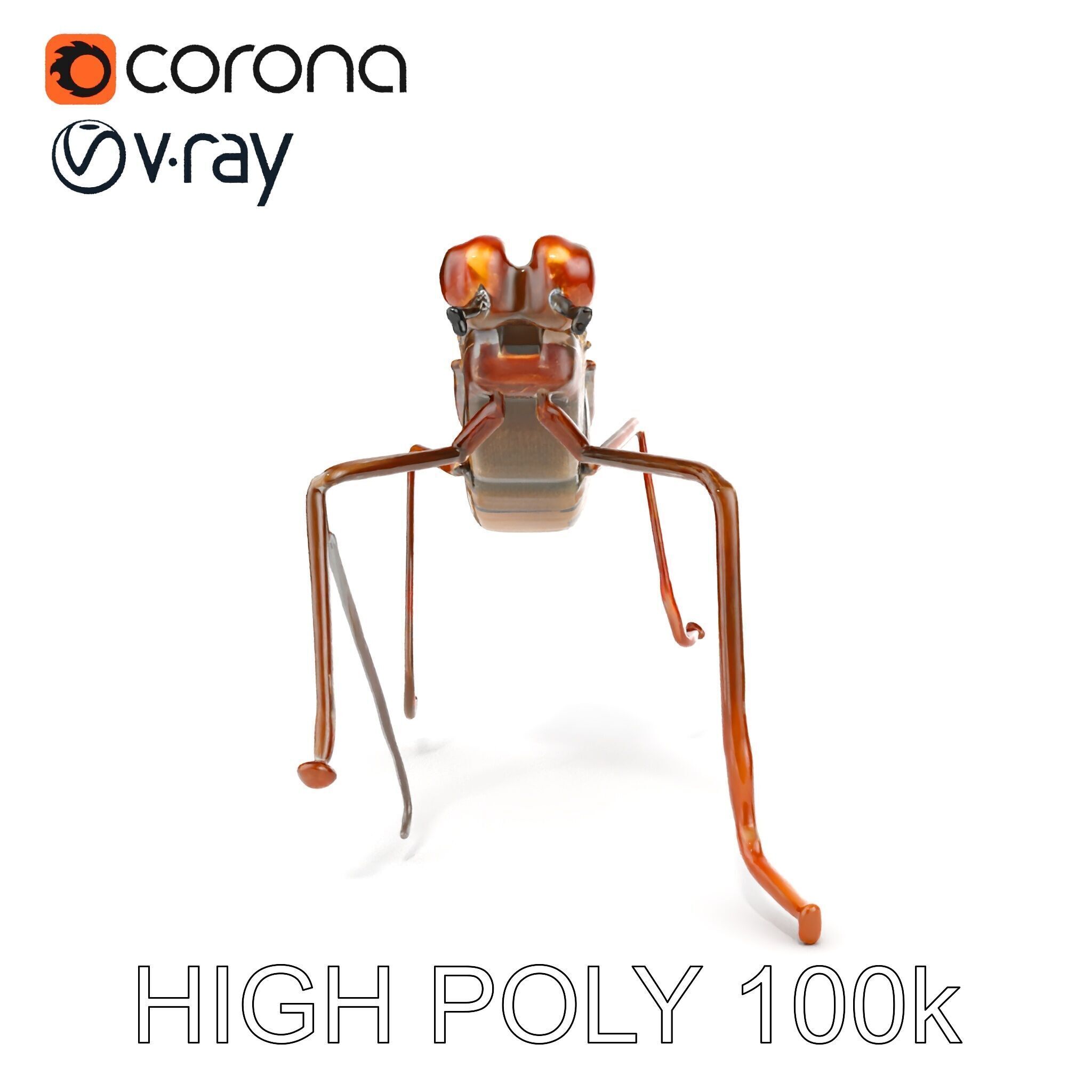 Realistic Insect Model Pack Detailed and Versatile Low-poly 3D model_18