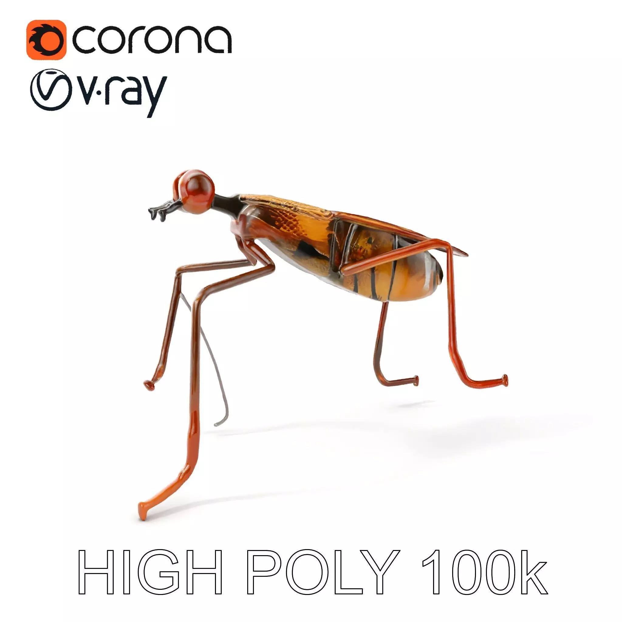 Realistic Insect Model Pack Detailed and Versatile Low-poly 3D model_0