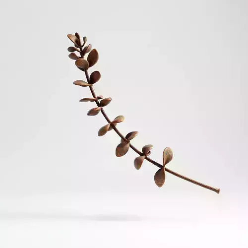 Realistic Branch with Leaves Model Pack Low-poly 3D model