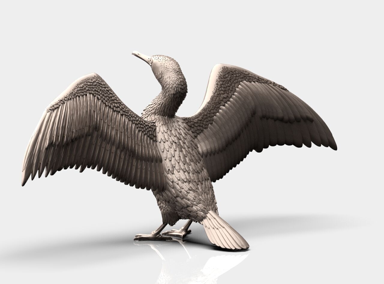 cormorant  3D print model_27