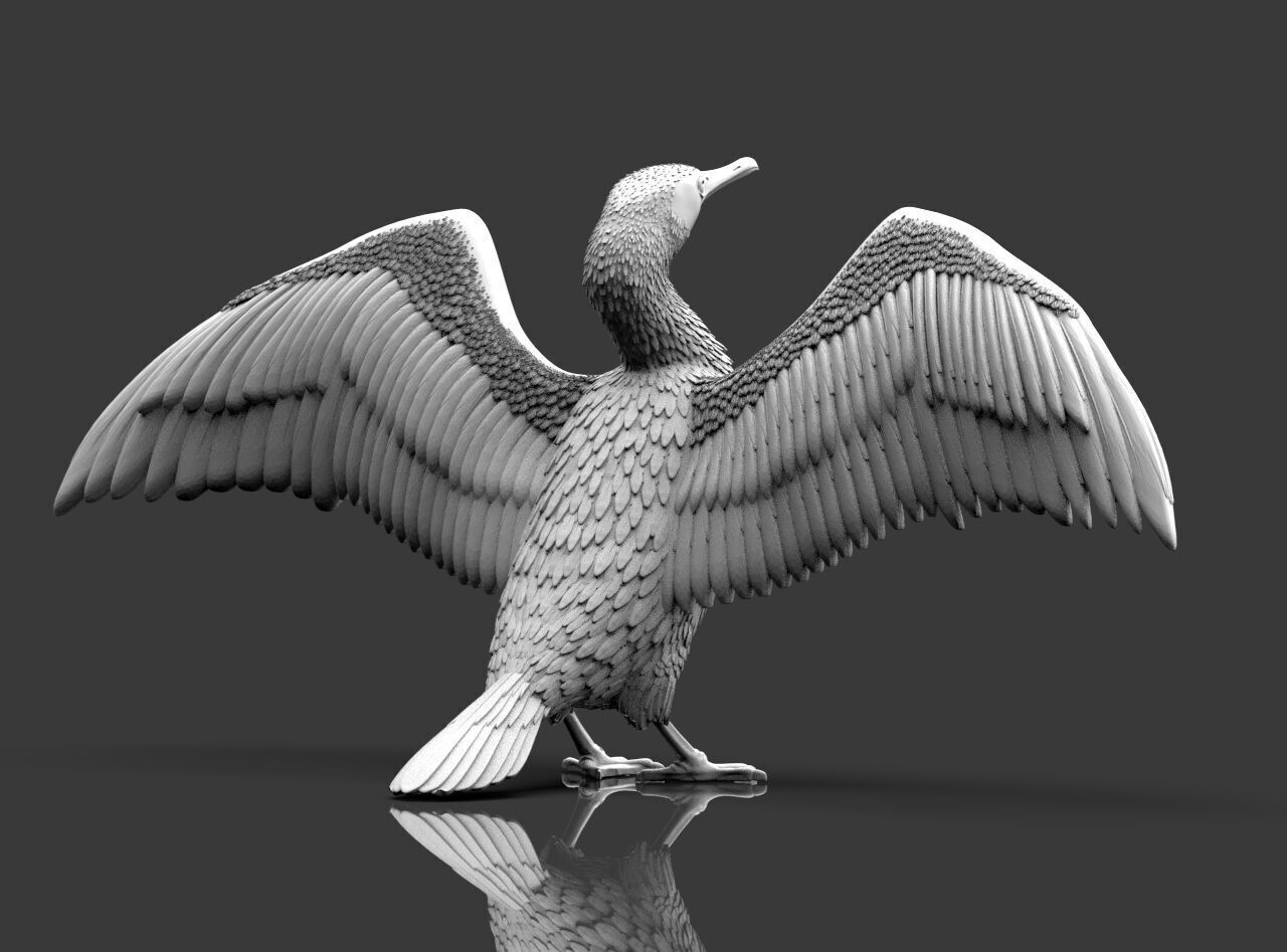 cormorant  3D print model_14