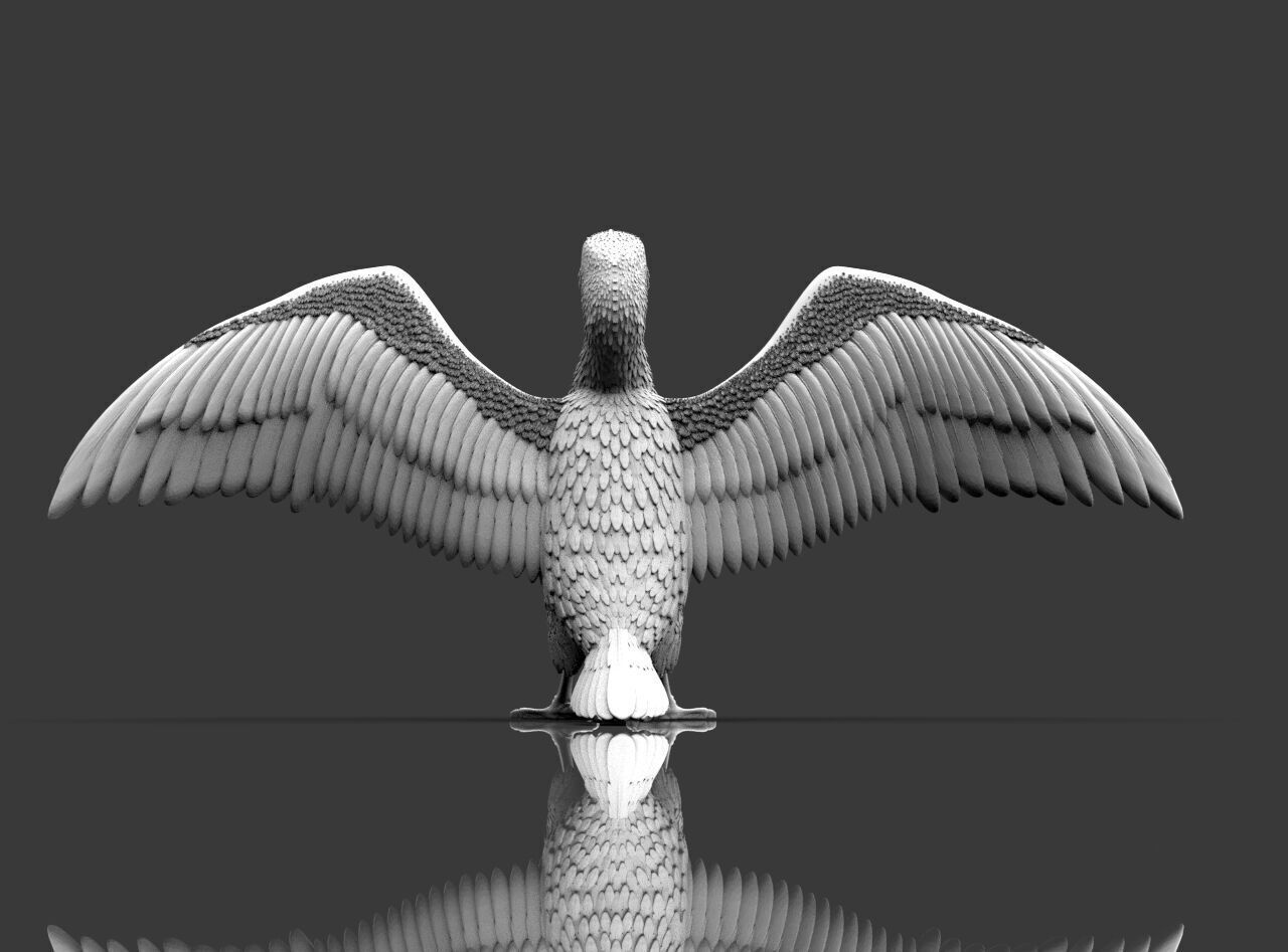 cormorant  3D print model_13