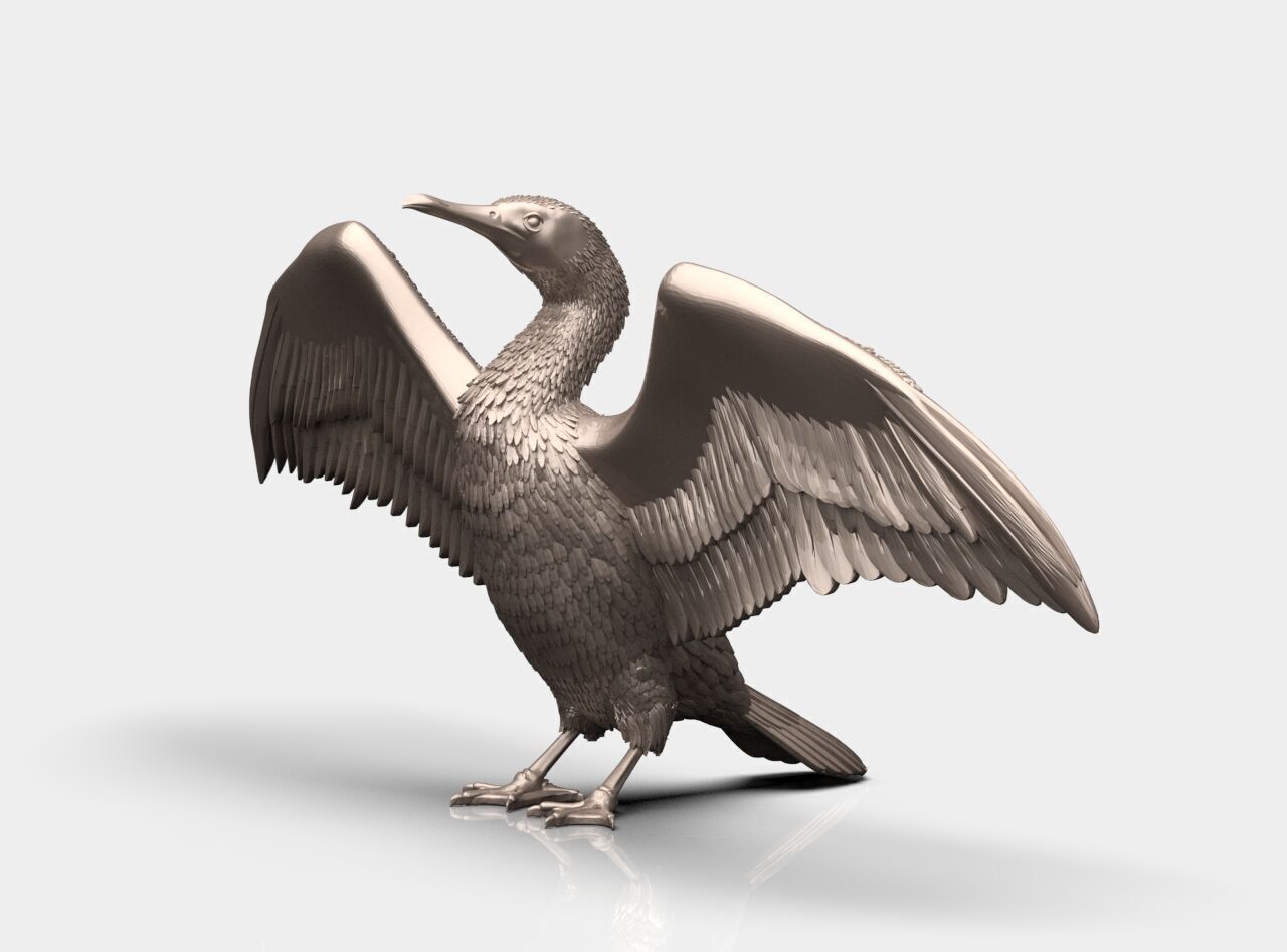 cormorant  3D print model_25