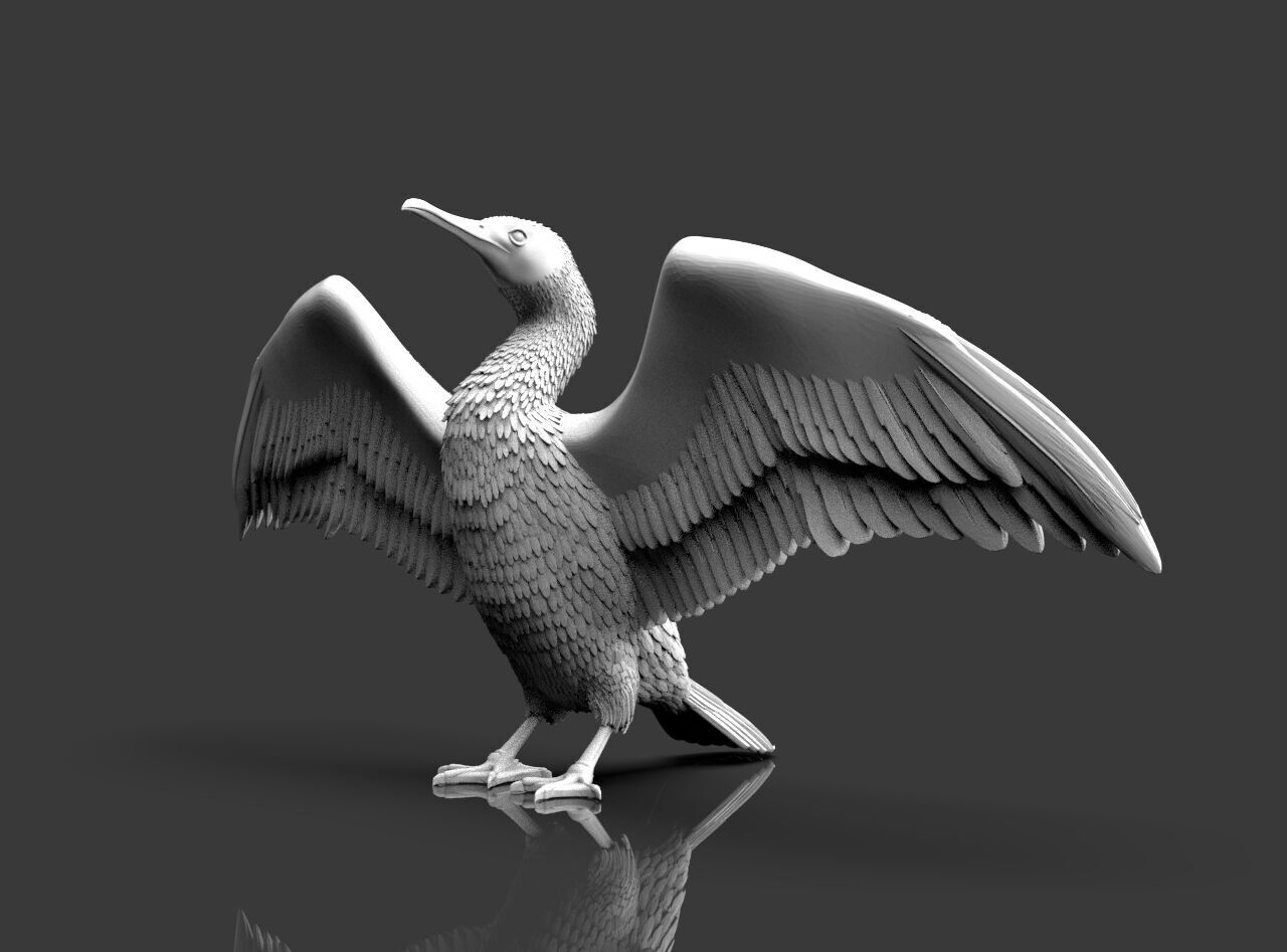 cormorant  3D print model_3