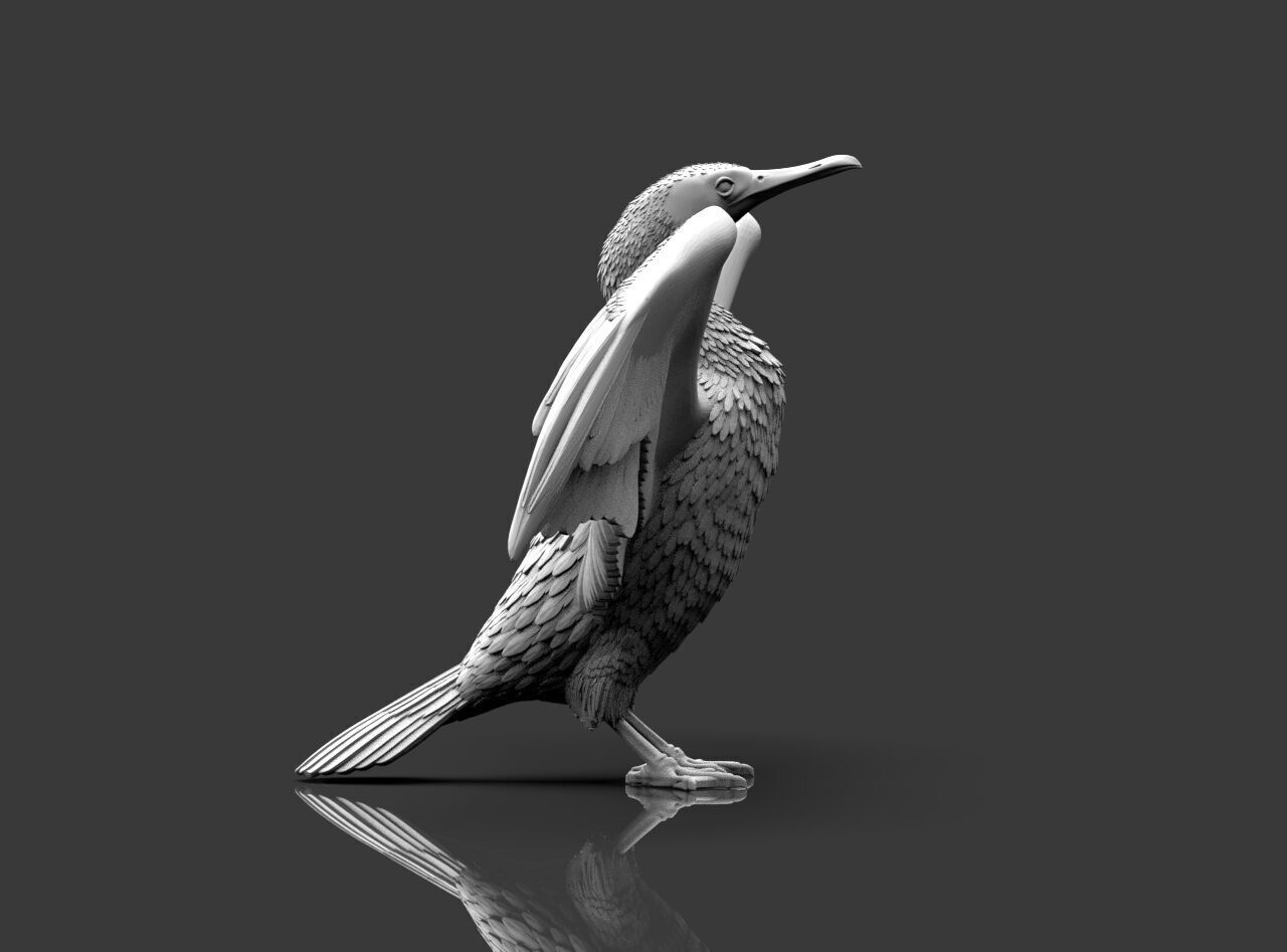 cormorant  3D print model_17