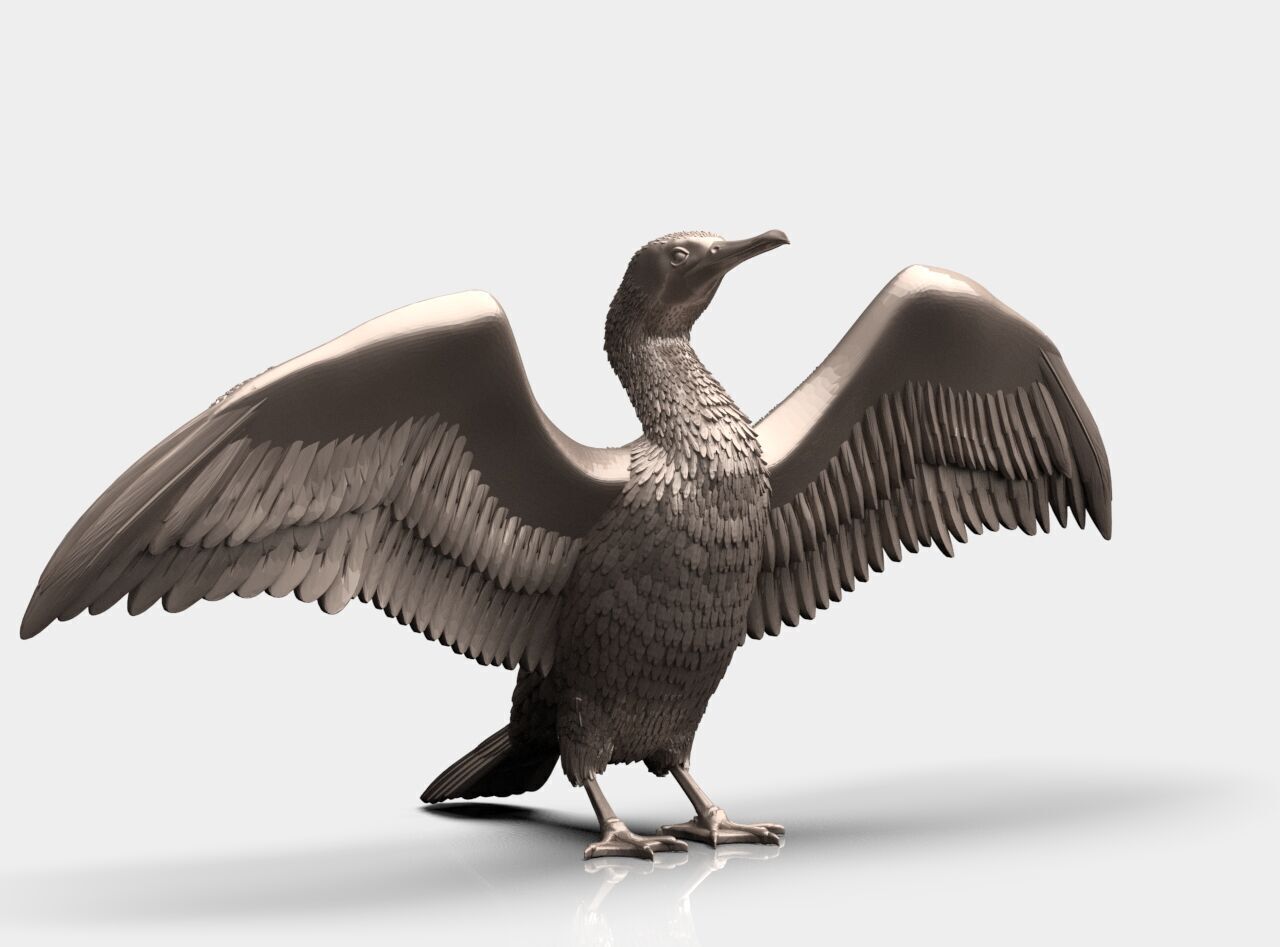 cormorant  3D print model_23