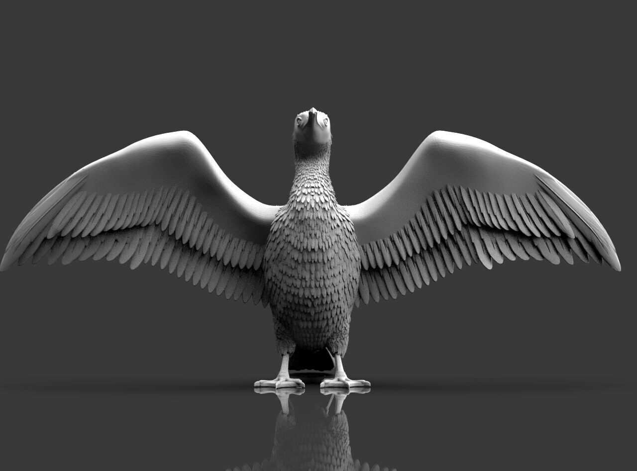 cormorant  3D print model_20