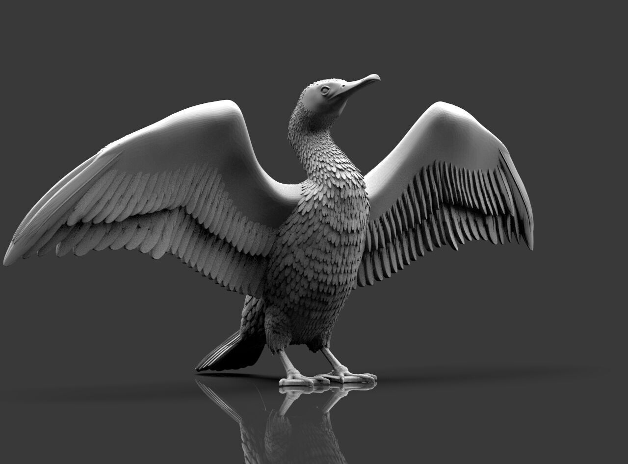 cormorant  3D print model_19