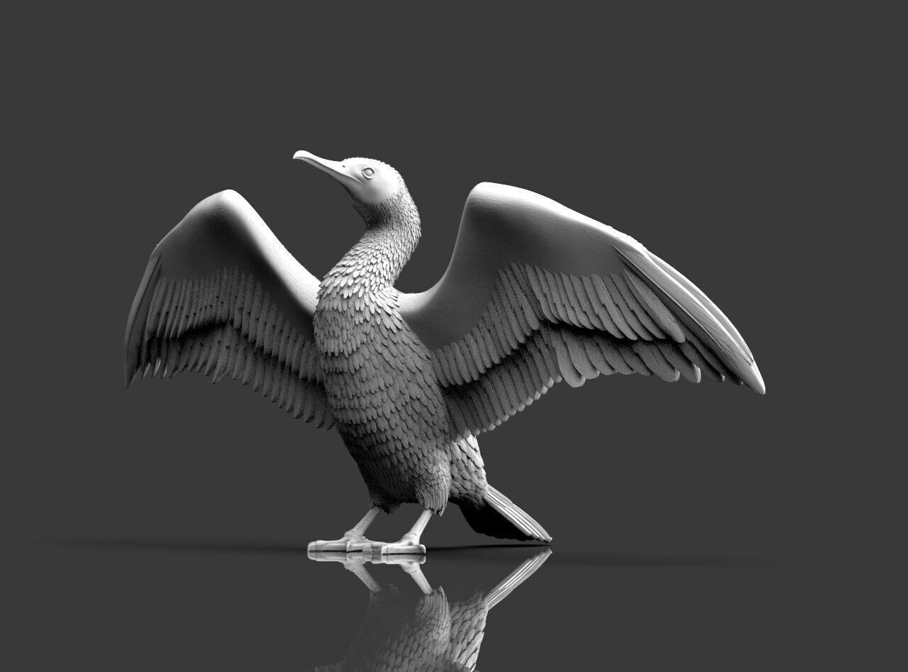 cormorant  3D print model_4