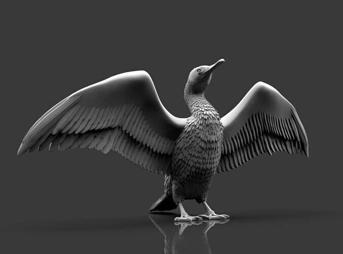 cormorant  3D print model