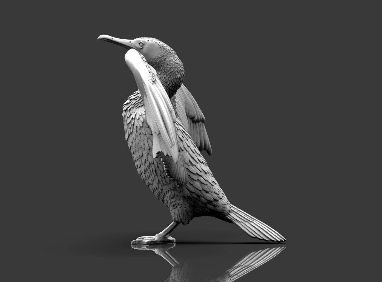 cormorant  3D print model_6