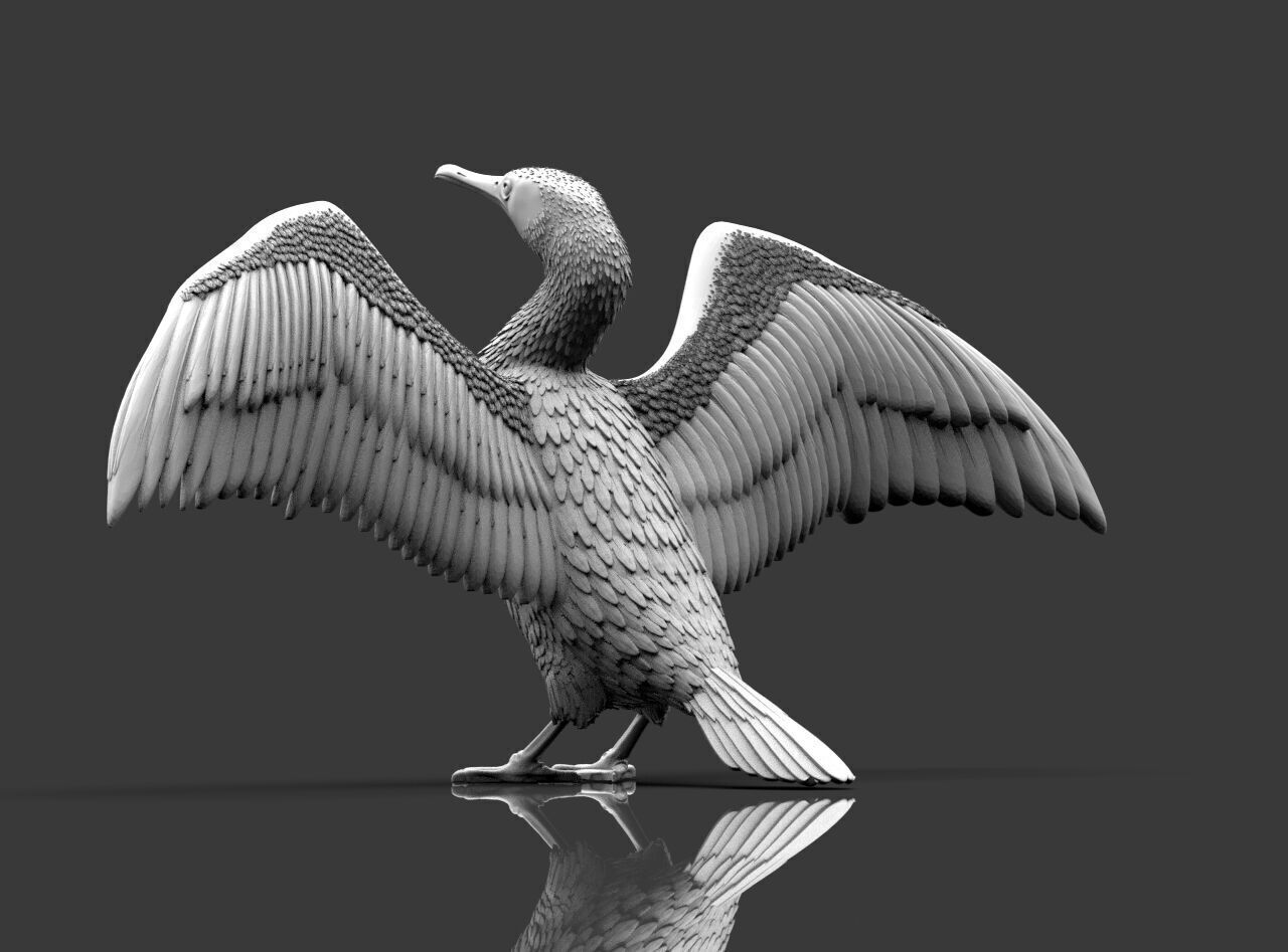 cormorant  3D print model_9