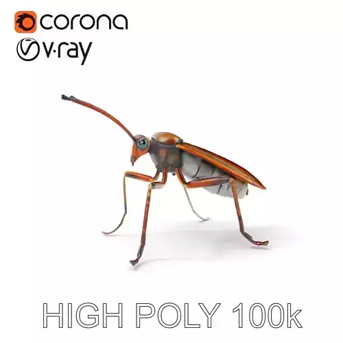 Realistic Insect Model Pack for Virtual Environments