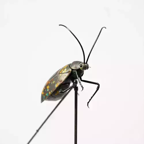 Colorful Beetle Insect Model Pack for D Rendering and Games