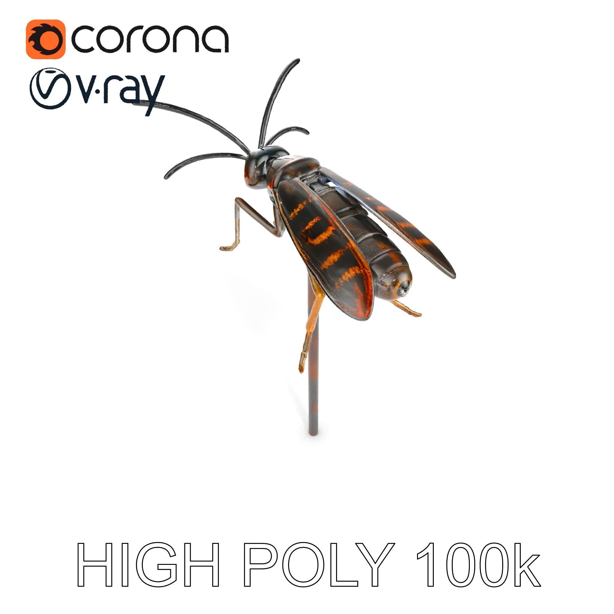 Realistic Insect Model Pack for Game and Film Production Low-poly 3D model_14