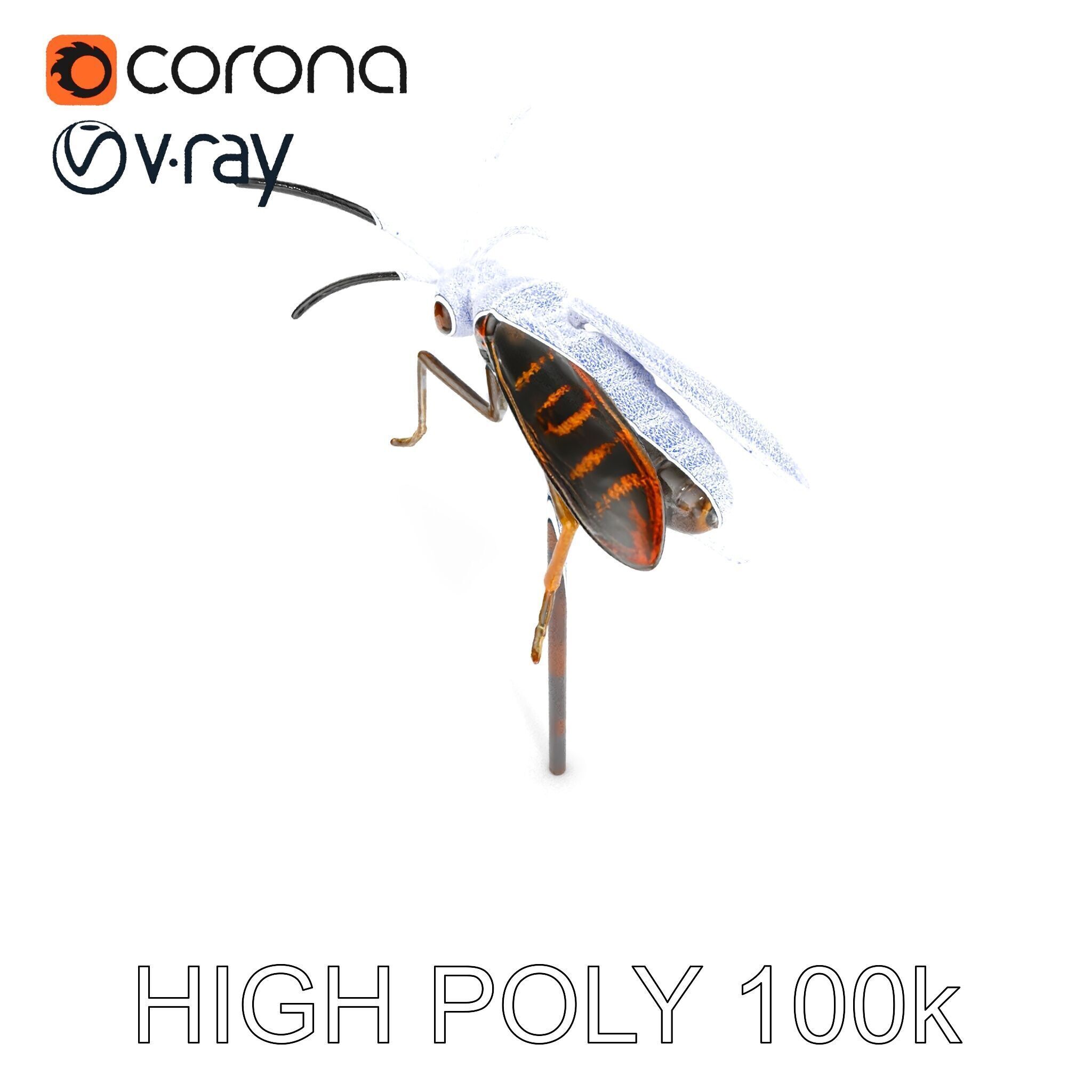 Realistic Insect Model Pack for Game and Film Production Low-poly 3D model_22