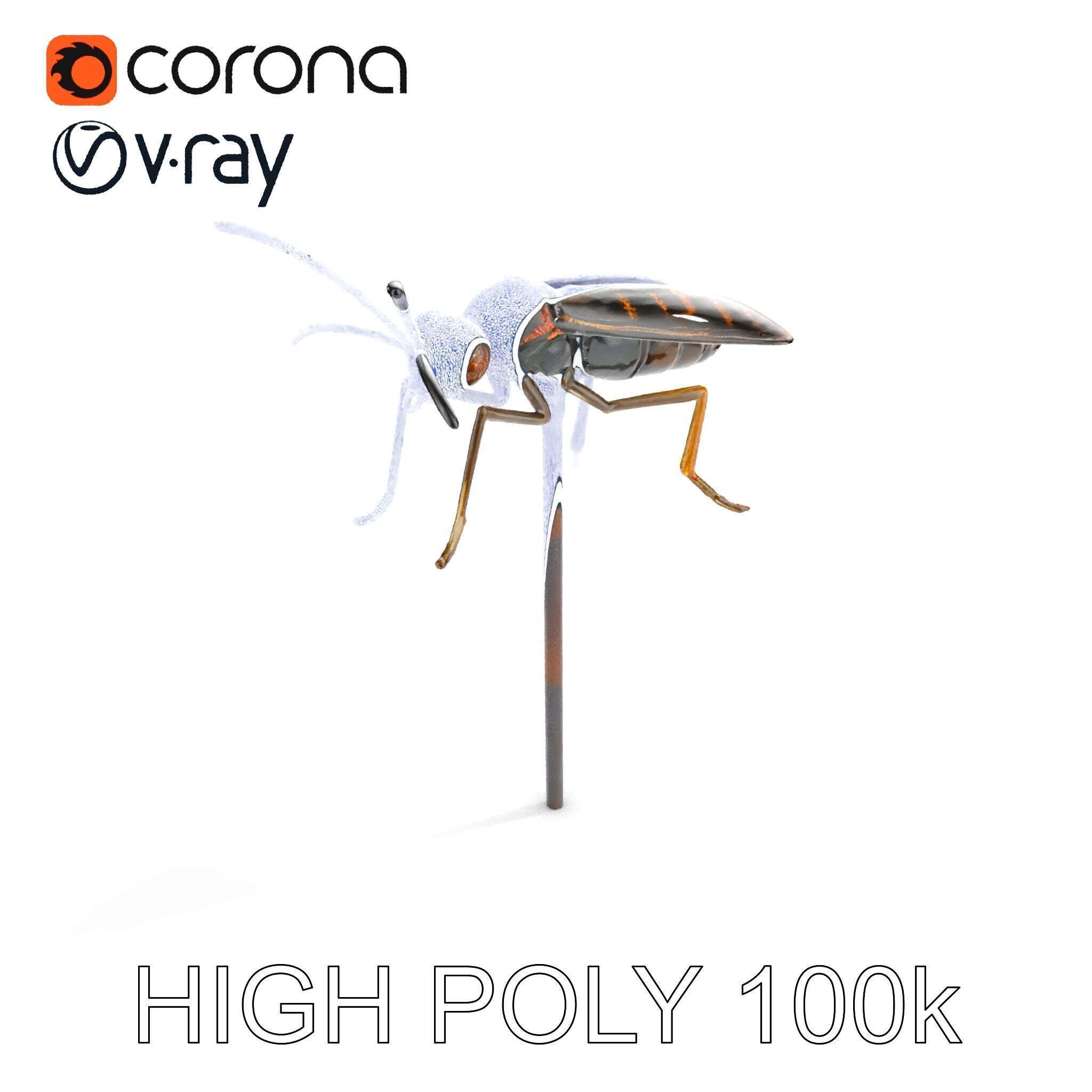 Realistic Insect Model Pack for Game and Film Production Low-poly 3D model_17