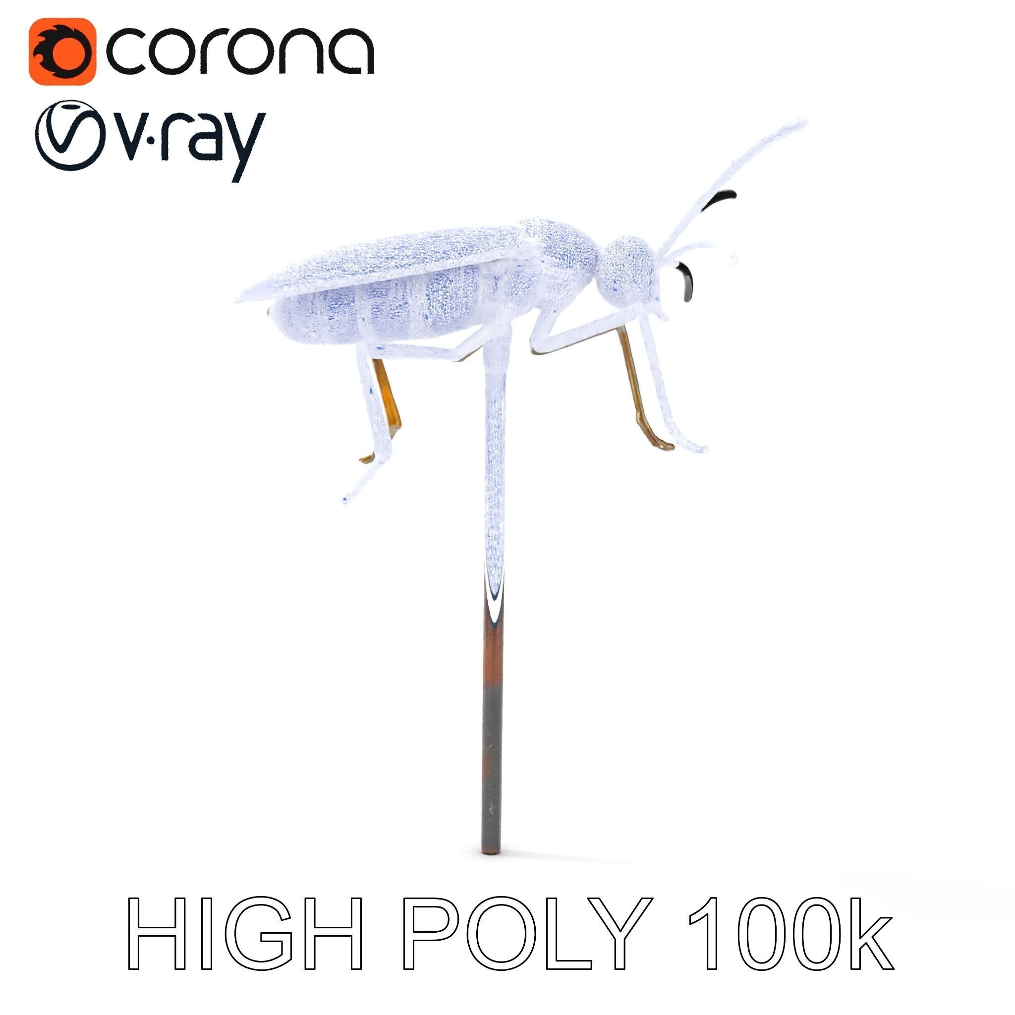 Realistic Insect Model Pack for Game and Film Production Low-poly 3D model_29