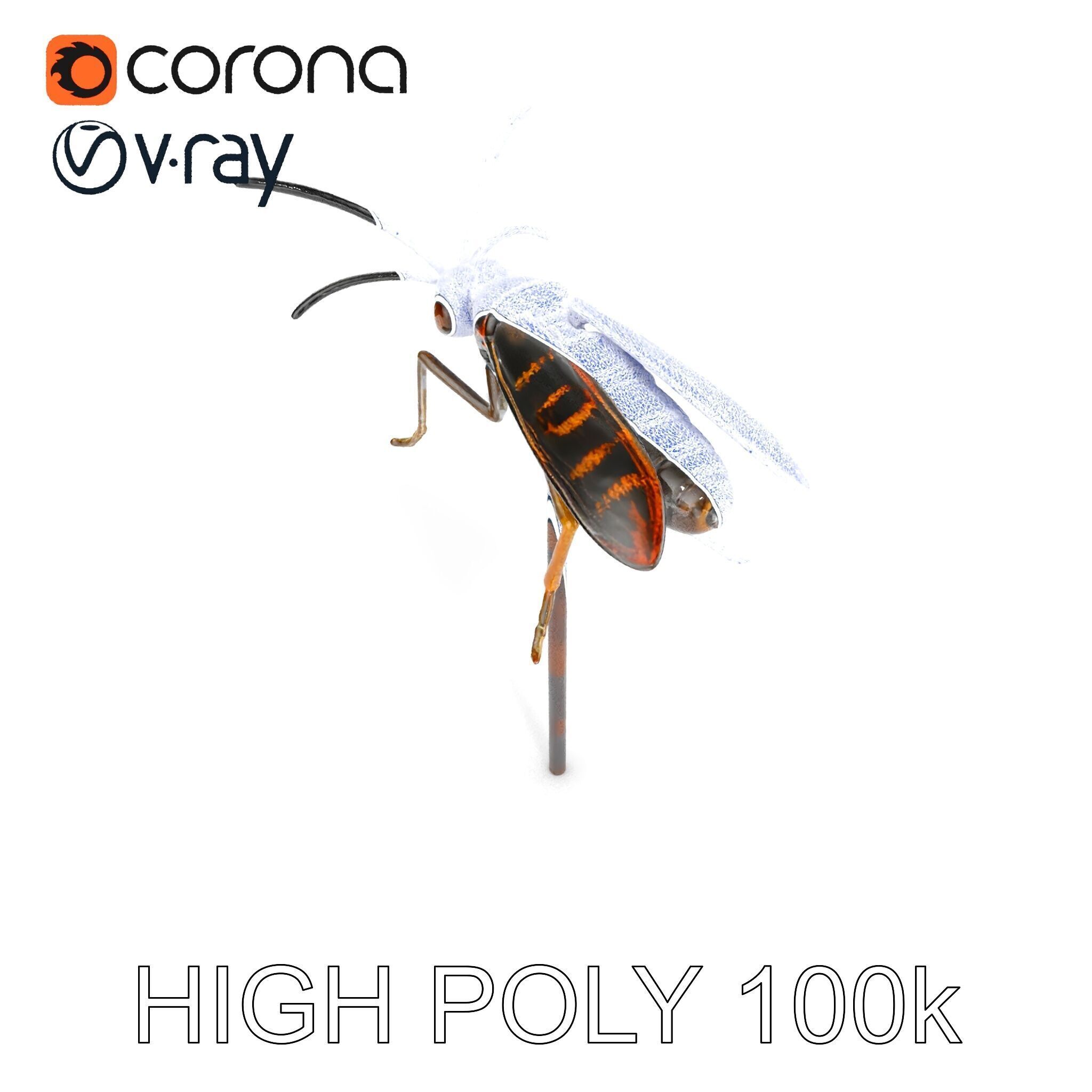 Realistic Insect Model Pack for Game and Film Production Low-poly 3D model_35