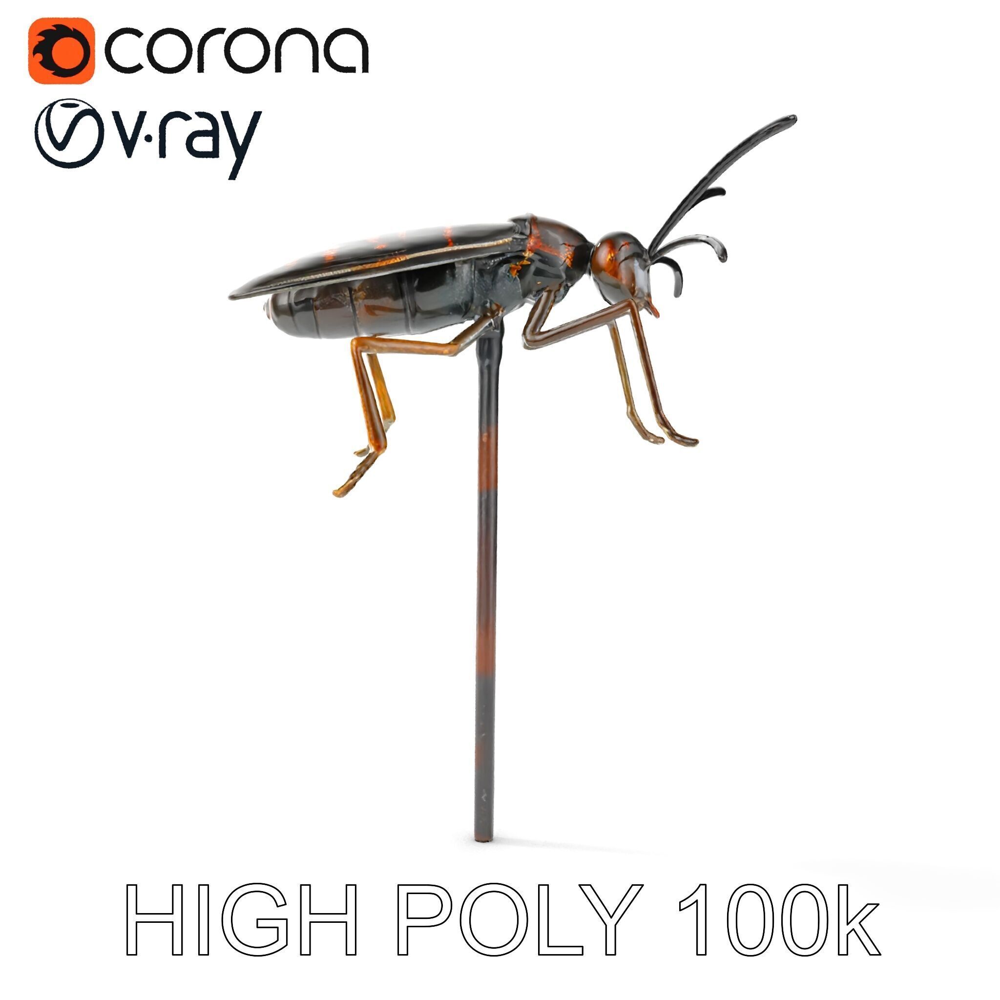 Realistic Insect Model Pack for Game and Film Production Low-poly 3D model_11