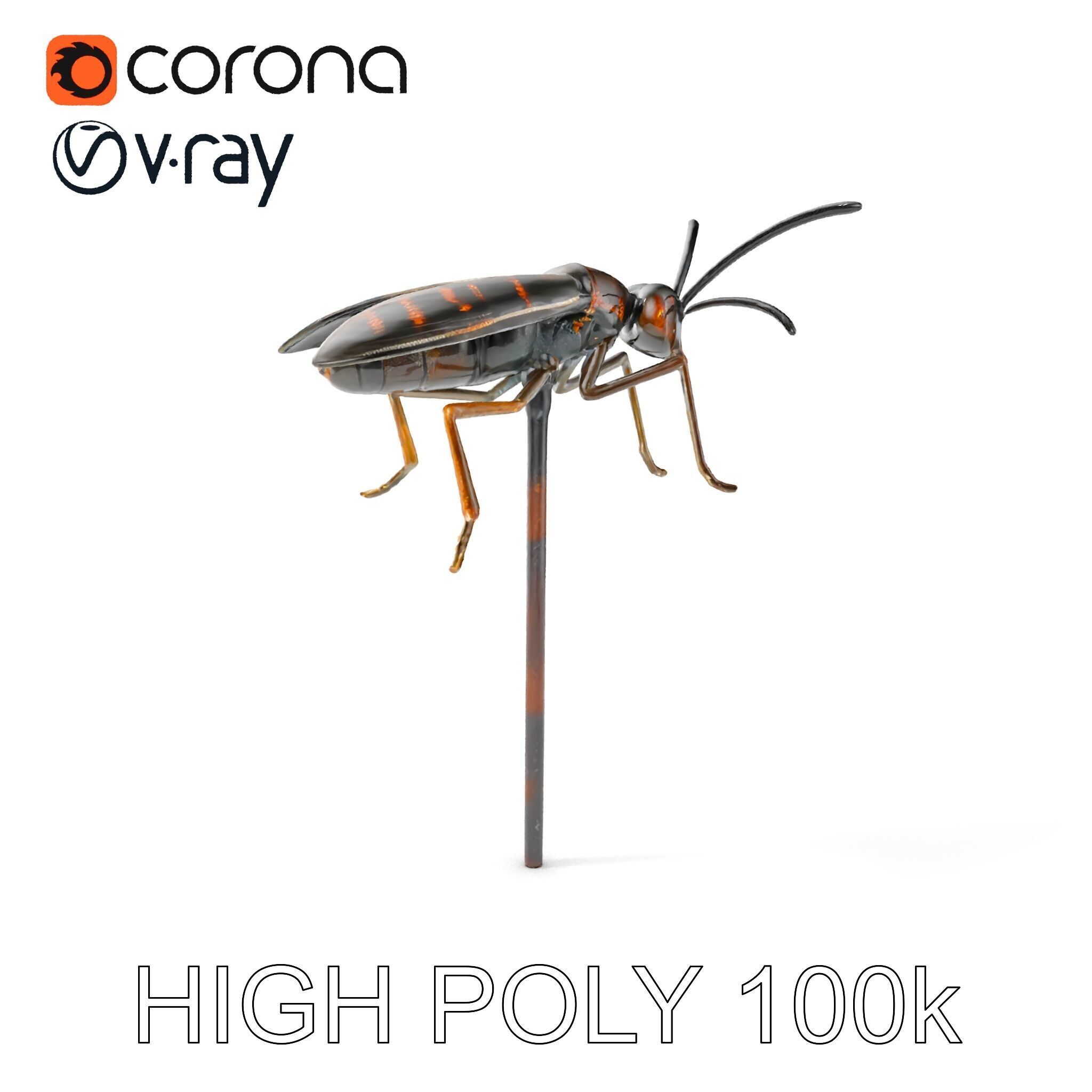 Realistic Insect Model Pack for Game and Film Production Low-poly 3D model_8